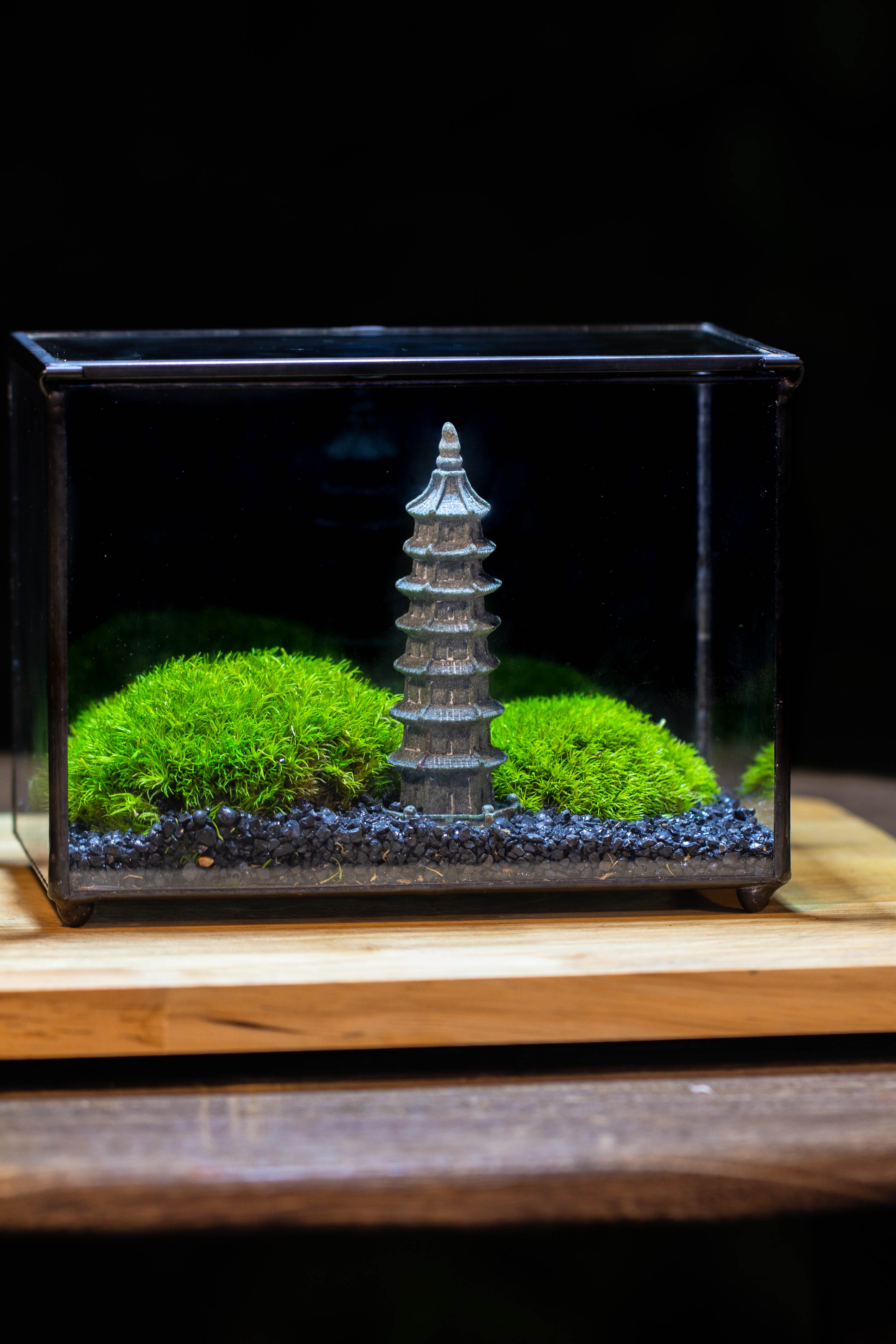 Preserved moss terrarium Miniature DIY set, Japanese Zen Style, Preserved Leucobryum moss and pagoda, 17*10*12cm / 6.7 x 3.9 x 4.7" - NCYPgarden