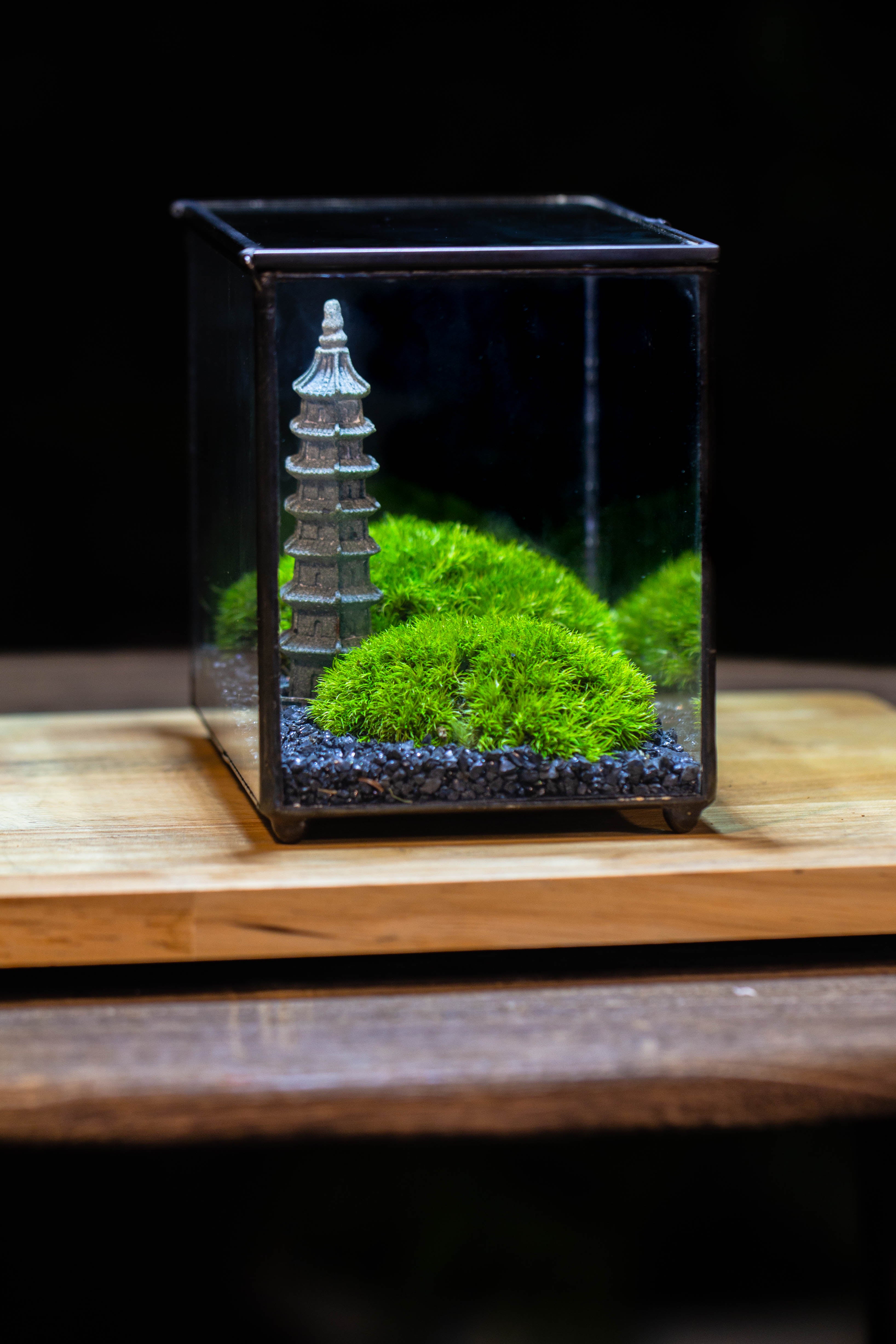 Preserved moss terrarium Miniature DIY set, Japanese Zen Style, Preserved Leucobryum moss and pagoda, 17*10*12cm / 6.7 x 3.9 x 4.7" - NCYPgarden