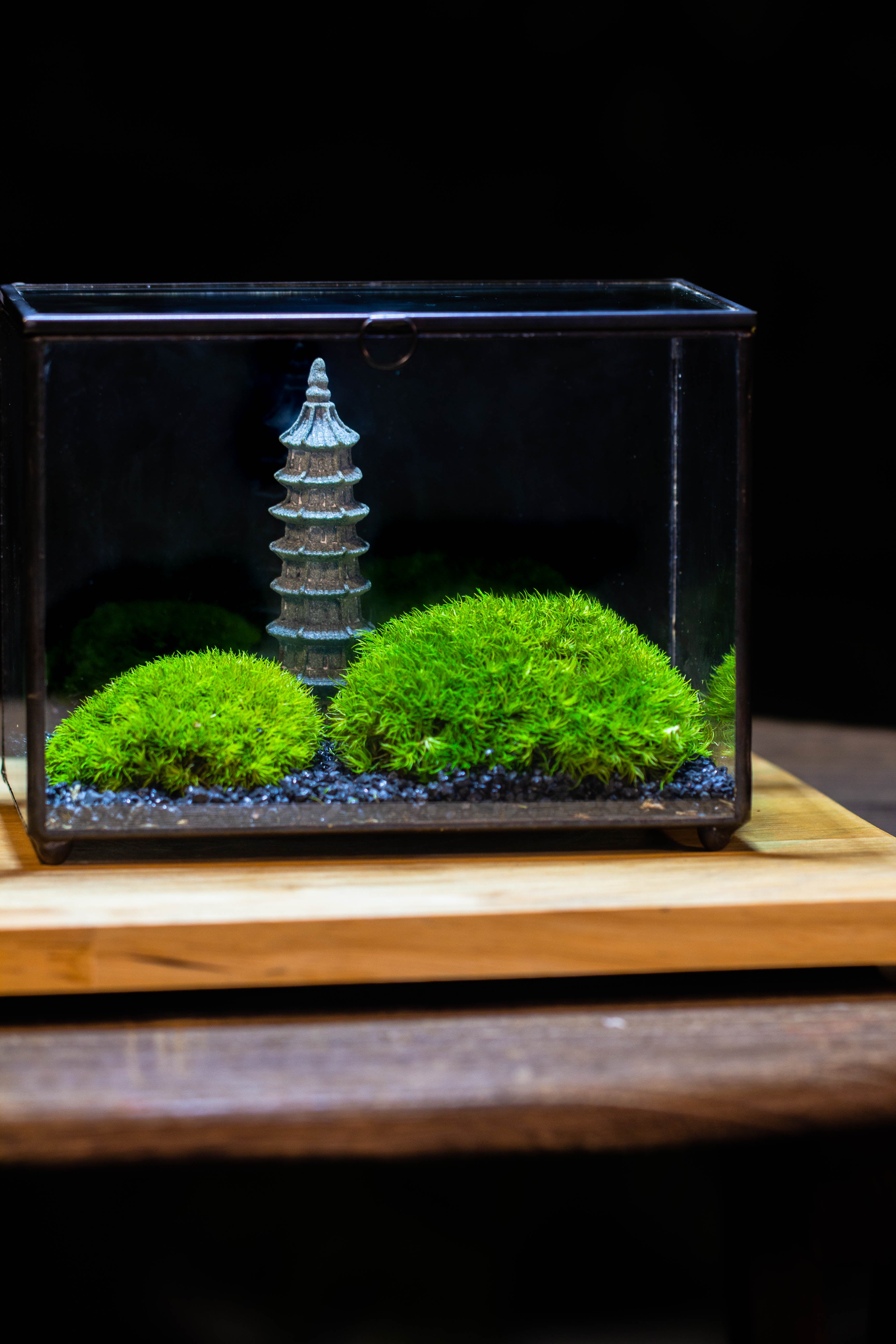 Preserved moss terrarium Miniature DIY set, Japanese Zen Style, Preserved Leucobryum moss and pagoda, 17*10*12cm / 6.7 x 3.9 x 4.7" - NCYPgarden
