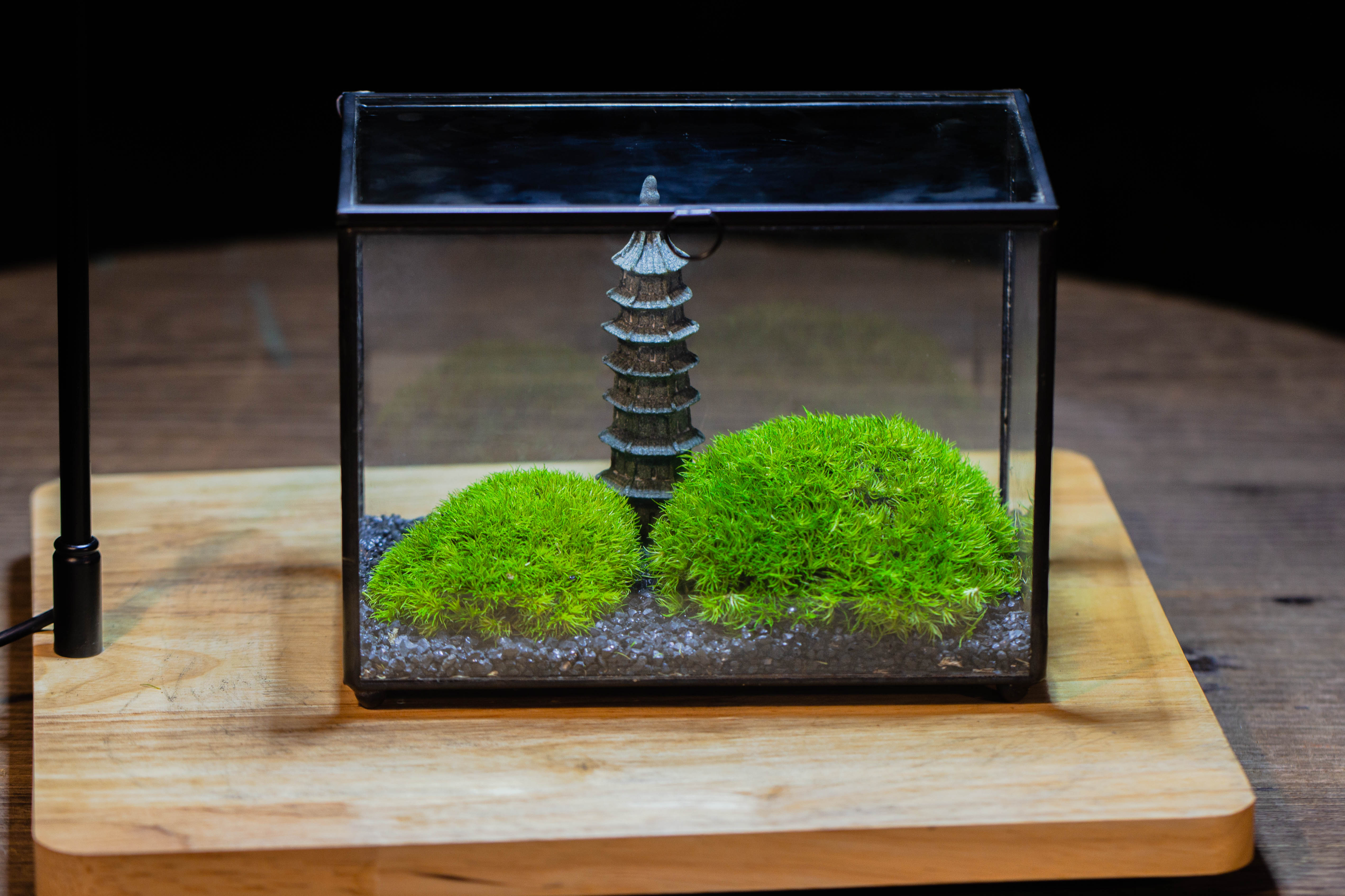 Preserved moss terrarium Miniature DIY set, Japanese Zen Style, Preserved Leucobryum moss and pagoda, 17*10*12cm / 6.7 x 3.9 x 4.7" - NCYPgarden