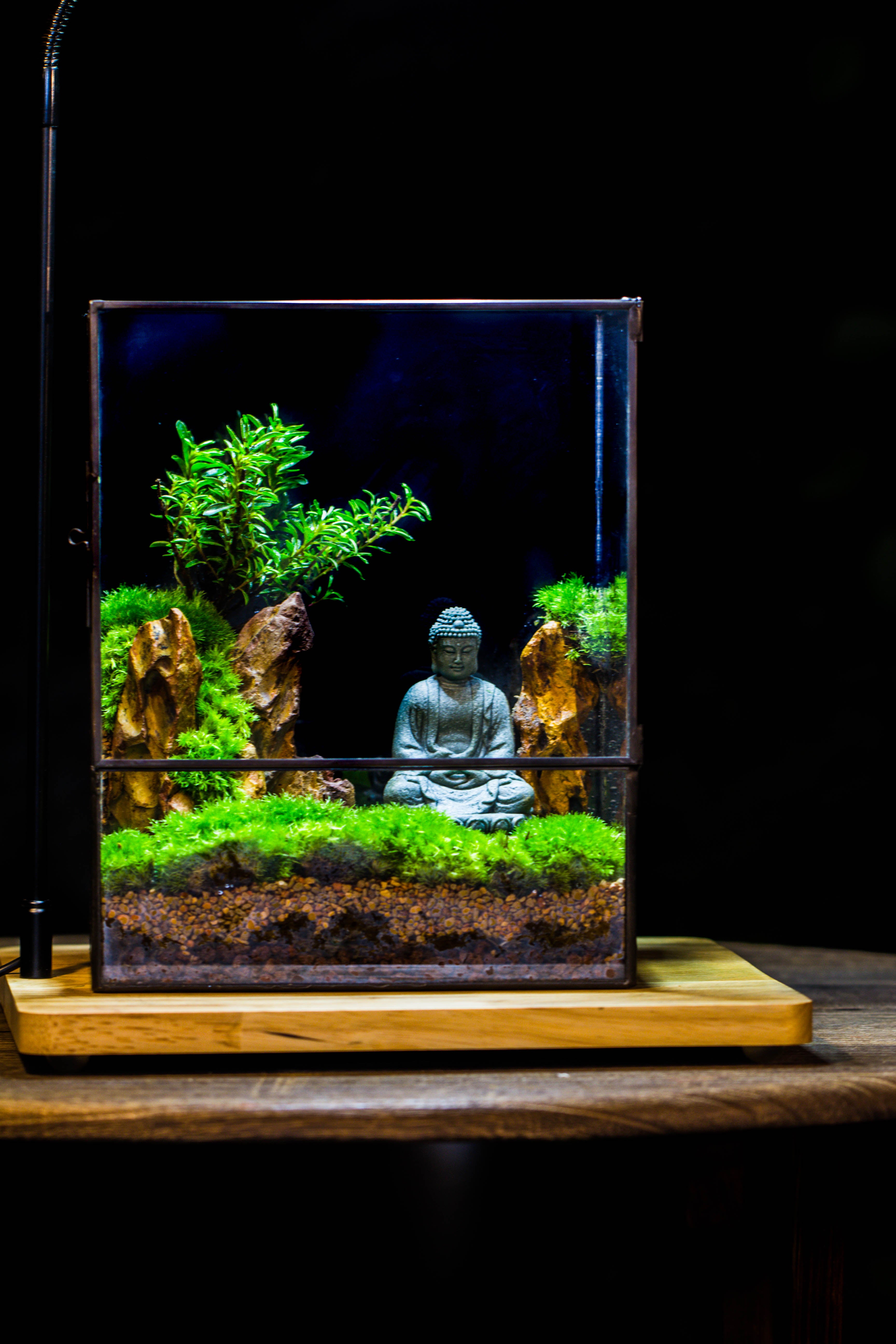 Close Geometric Glass Tin Terrarium , 8x10" and Buddha, rock, Micro Landscape Moss Terrarium Building DIY set No plants, Customizable - NCYPgarden
