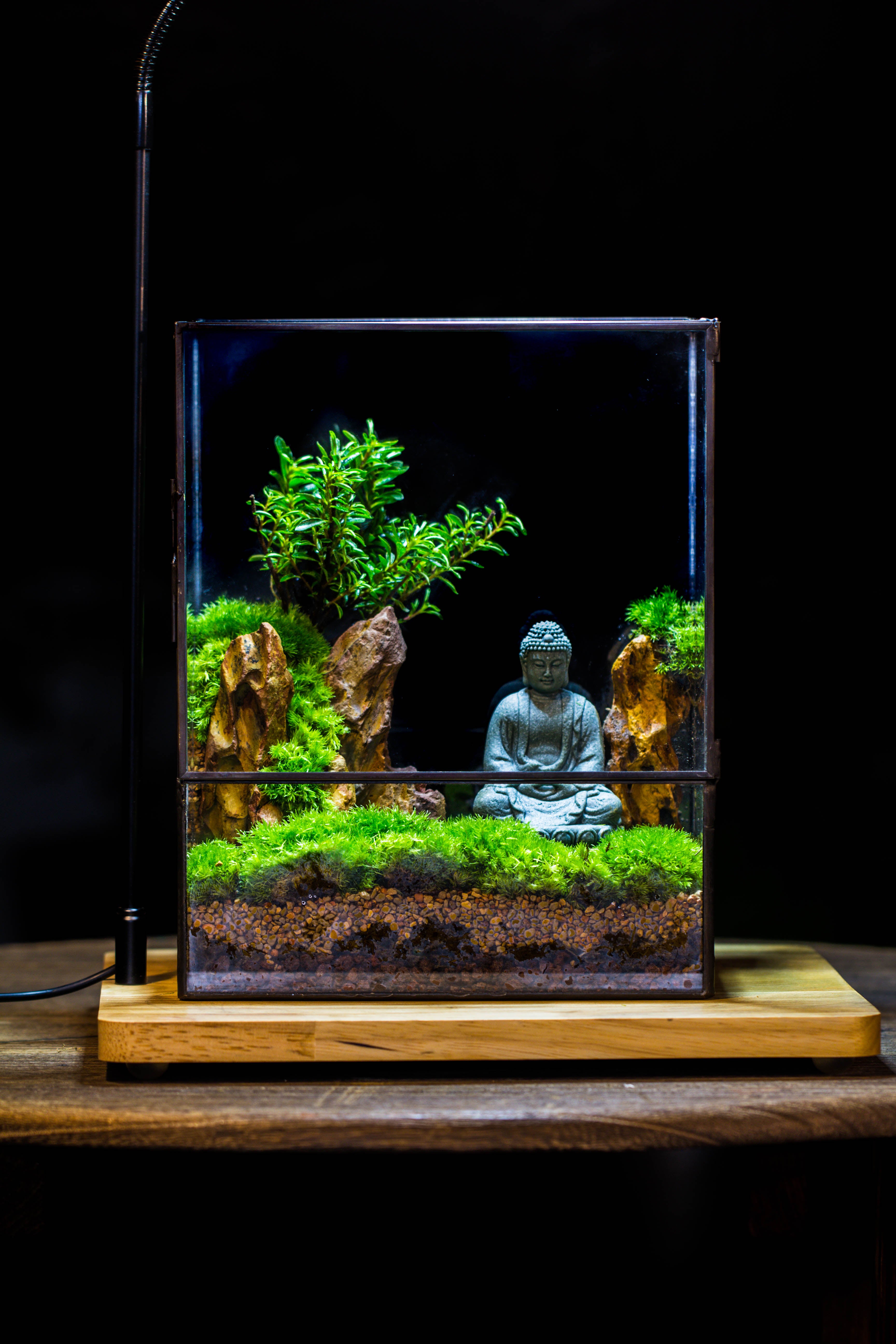 Close Geometric Glass Tin Terrarium , 8x10" and Buddha, rock, Micro Landscape Moss Terrarium Building DIY set No plants, Customizable - NCYPgarden
