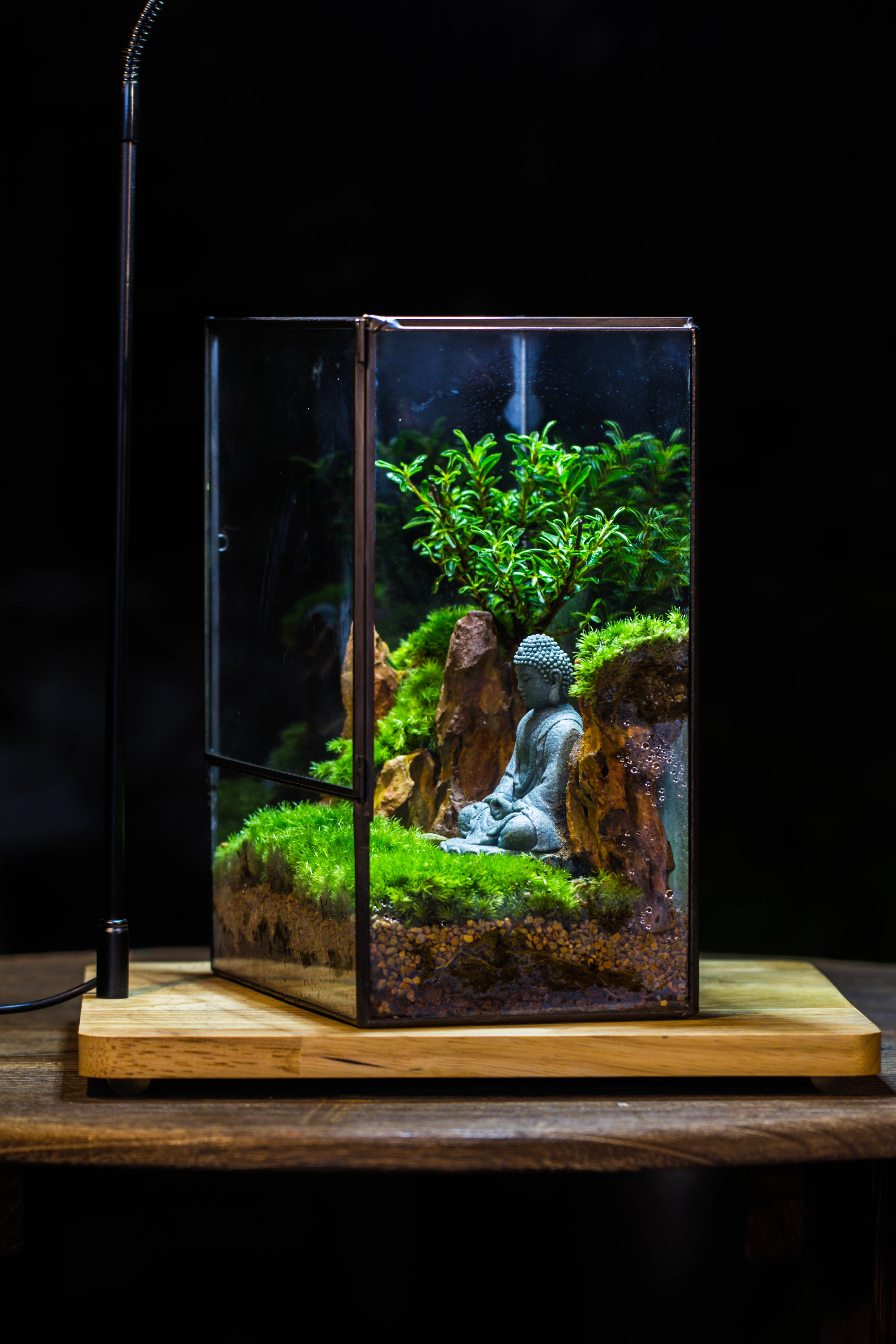 Close Geometric Glass Tin Terrarium , 8x10" and Buddha, rock, Micro Landscape Moss Terrarium Building DIY set No plants, Customizable - NCYPgarden