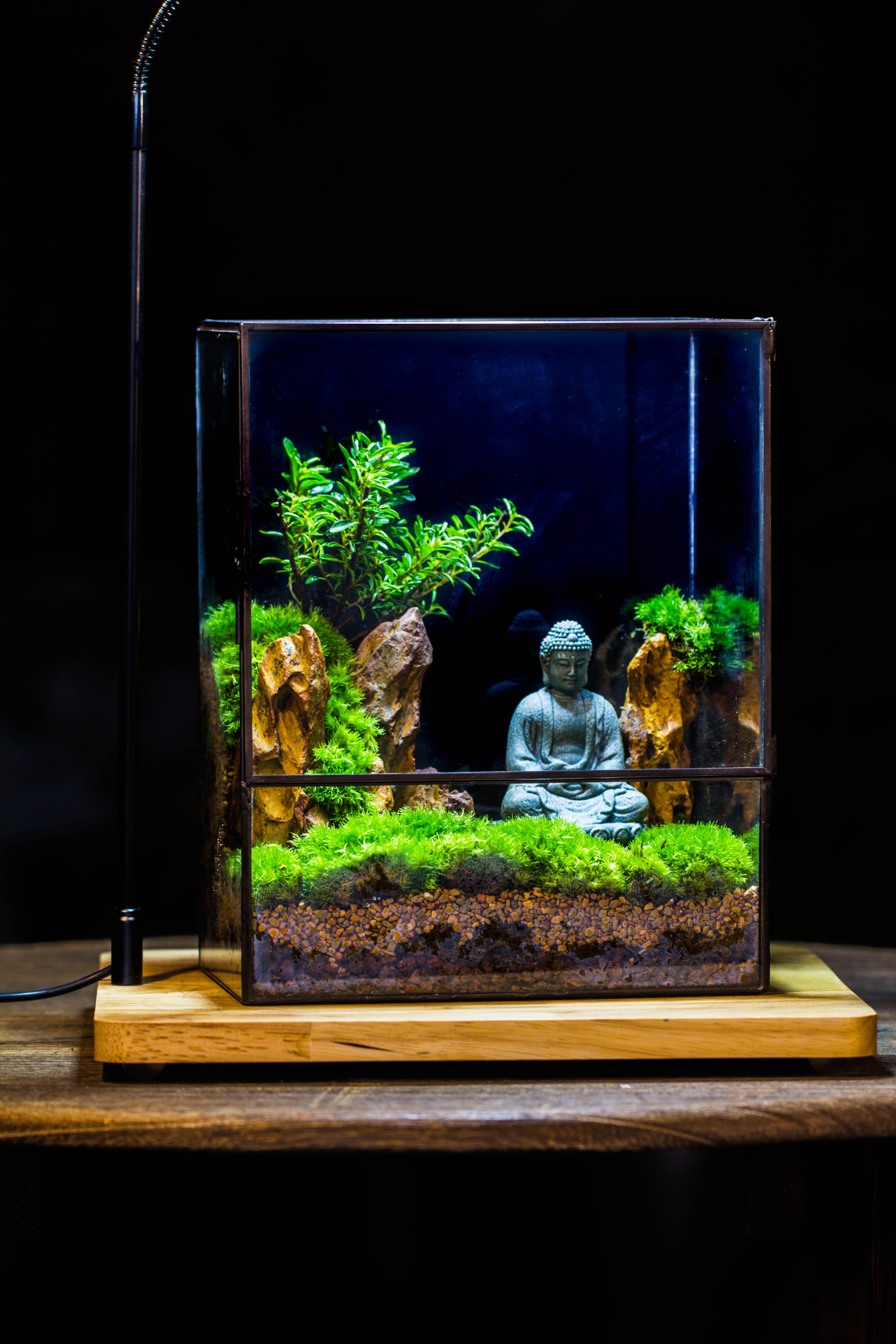 Close Geometric Glass Tin Terrarium , 8x10" and Buddha, rock, Micro Landscape Moss Terrarium Building DIY set No plants, Customizable - NCYPgarden