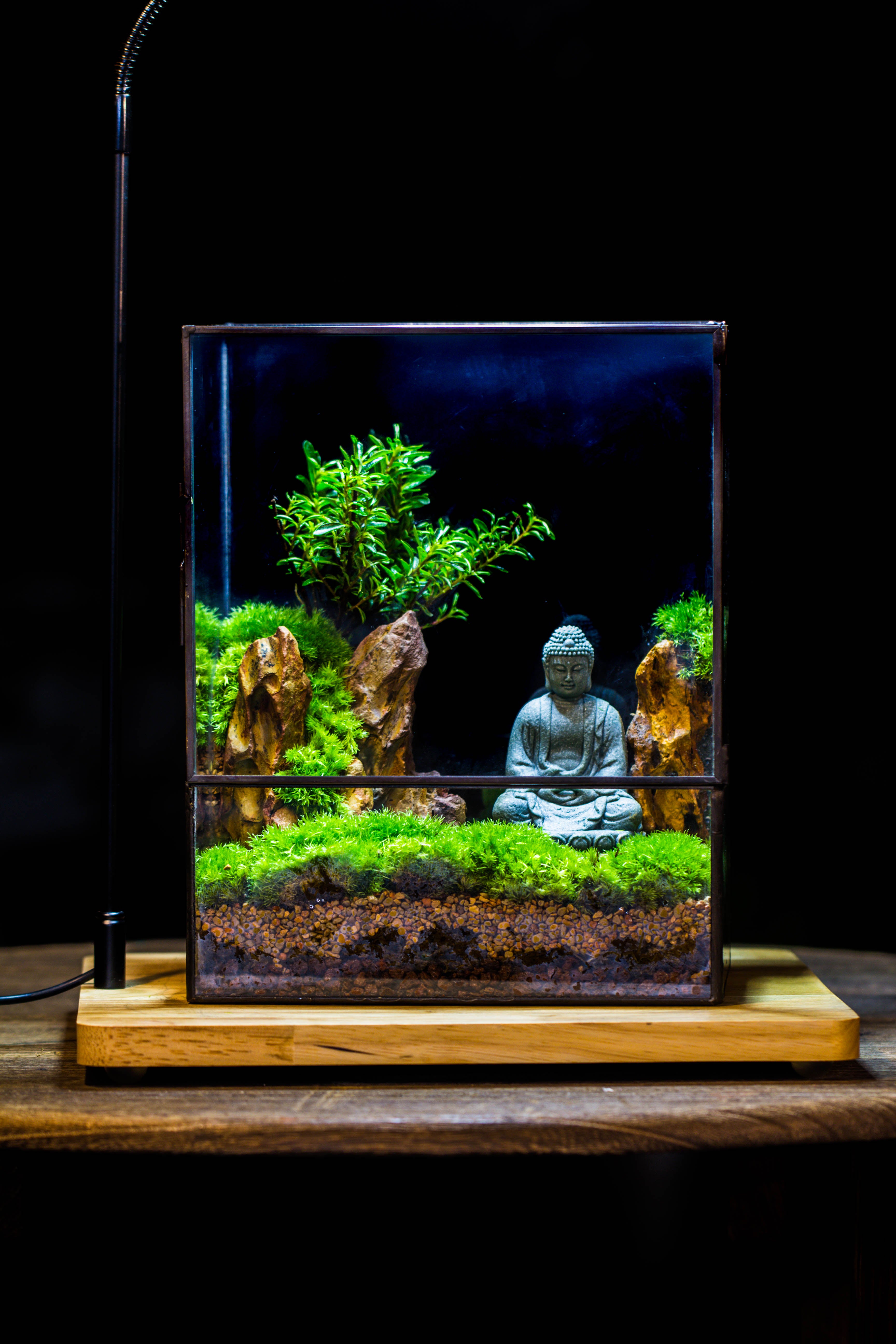Close Geometric Glass Tin Terrarium , 8x10" and Buddha, rock, Micro Landscape Moss Terrarium Building DIY set No plants, Customizable - NCYPgarden