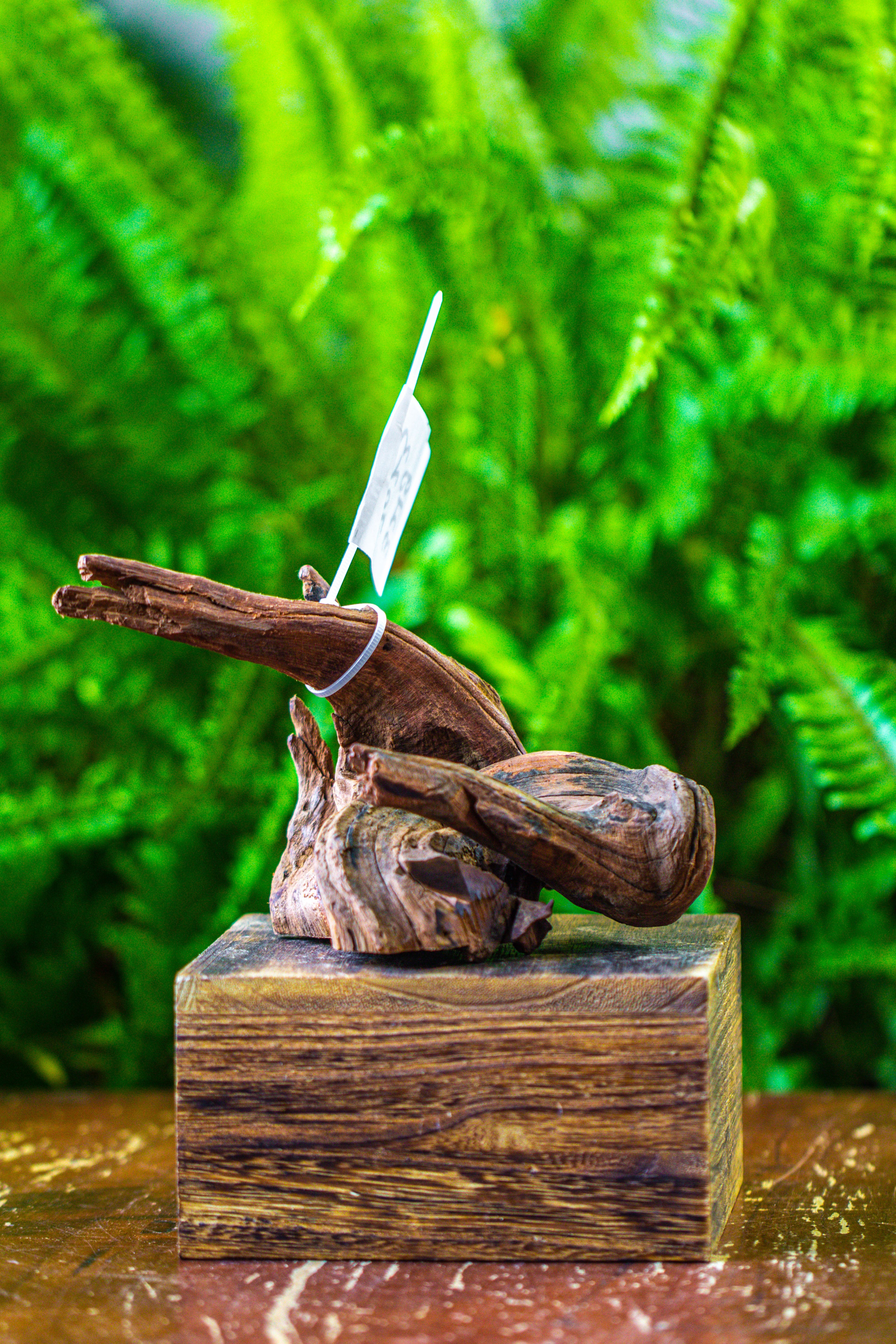 driftwood for moss terrarium, miniature, micro landscape, 7023 - NCYPgarden