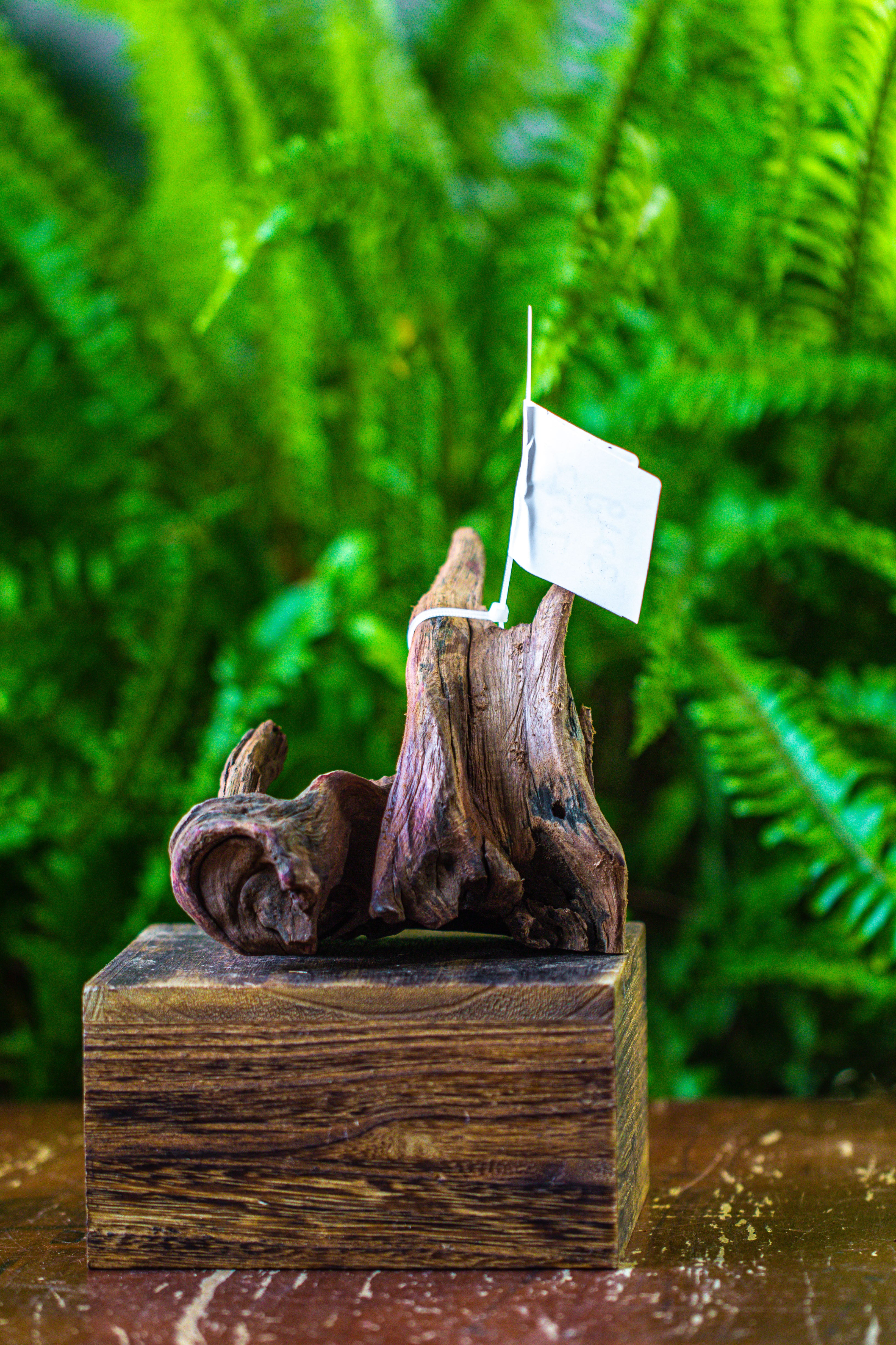 driftwood for moss terrarium, miniature, micro landscape, 7023 - NCYPgarden