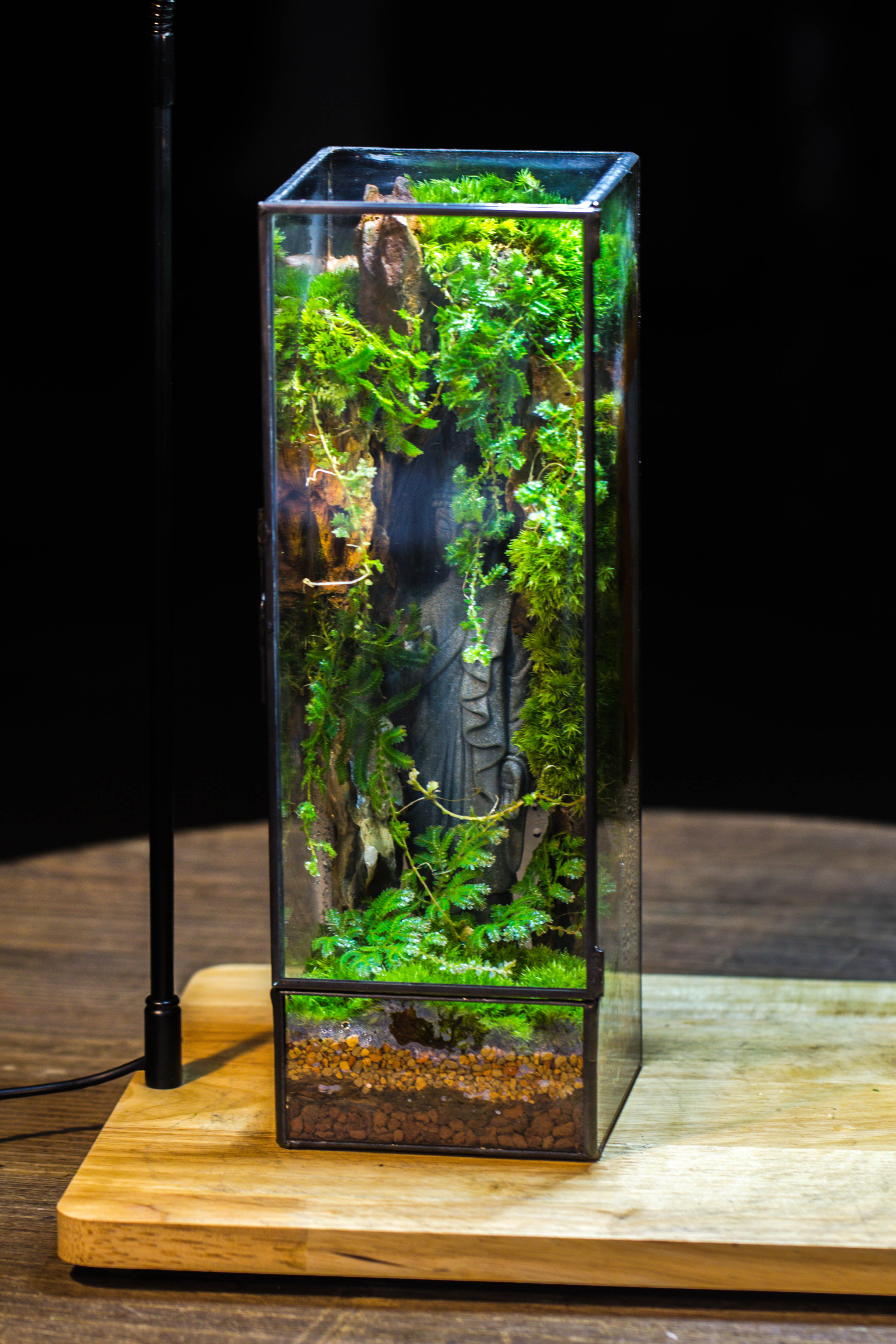 NCYP Close 11.8" Tall Geometric Glass Terrarium with Door DIY set, with Buddha, Dragon rocks, Planting Materials - NCYPgarden