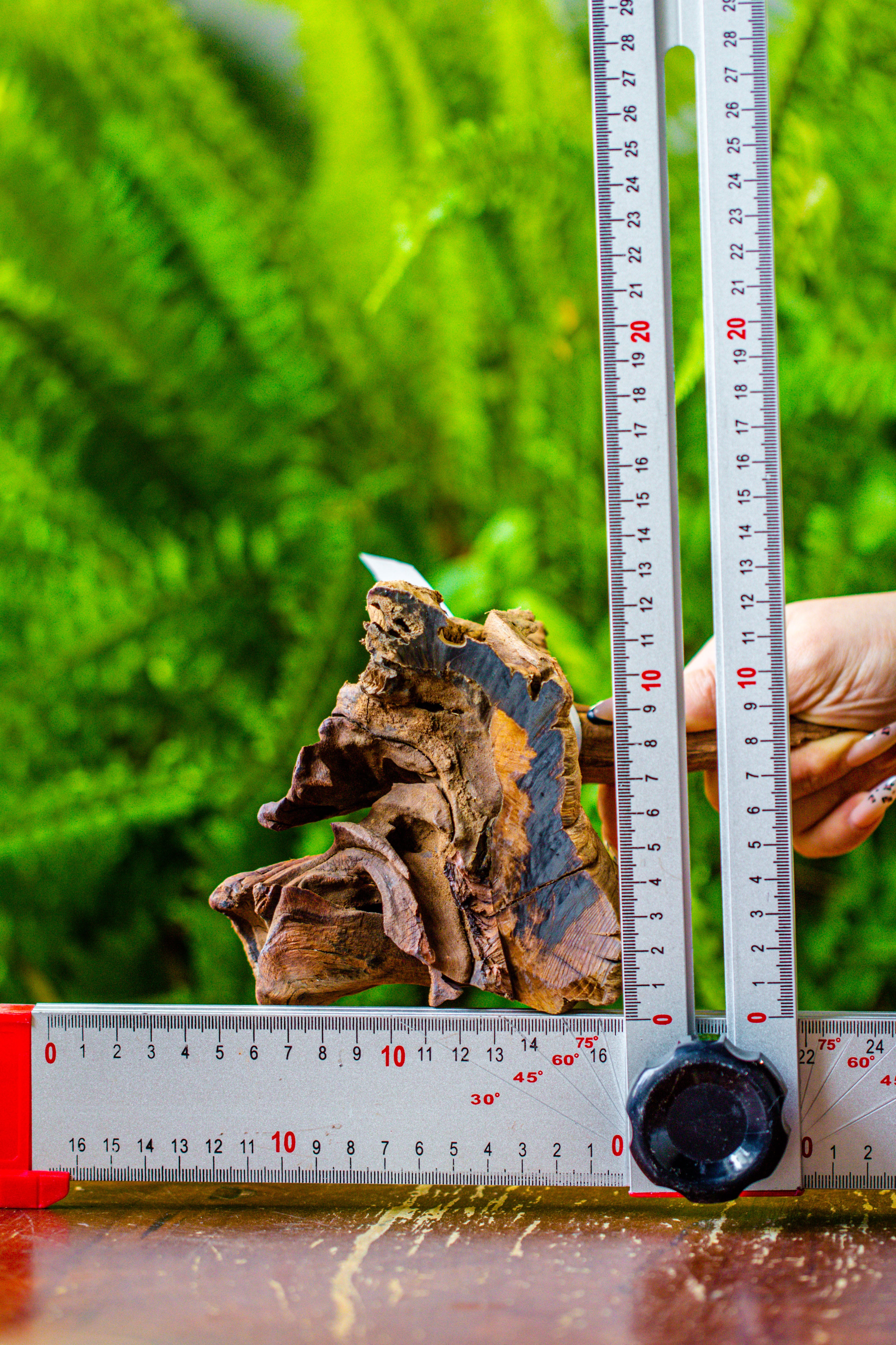 driftwood for moss terrarium, miniature, micro landscape, 7023 - NCYPgarden