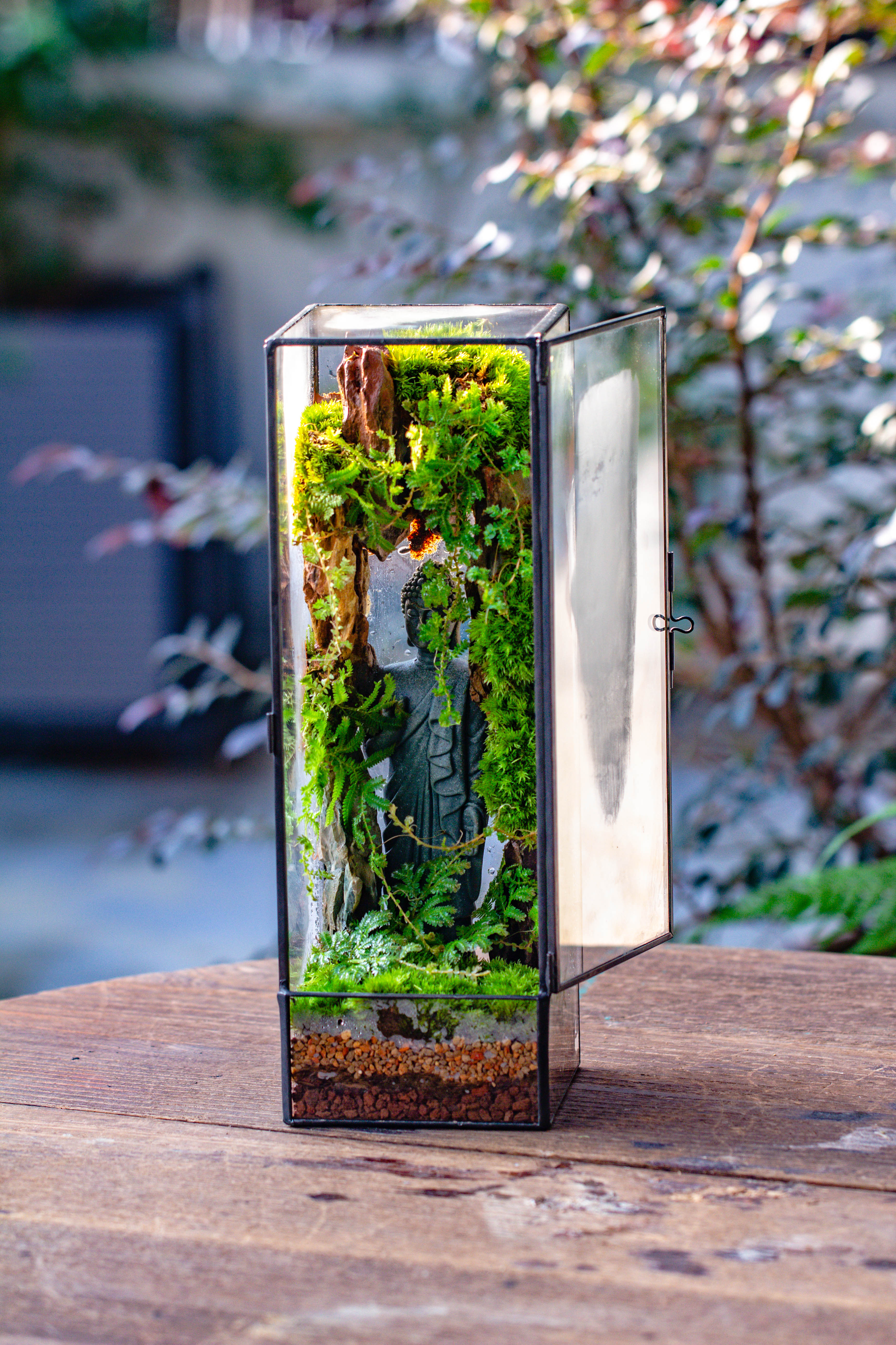 NCYP Close 11.8" Tall Geometric Glass Terrarium with Door DIY set, with Buddha, Dragon rocks, Planting Materials - NCYPgarden