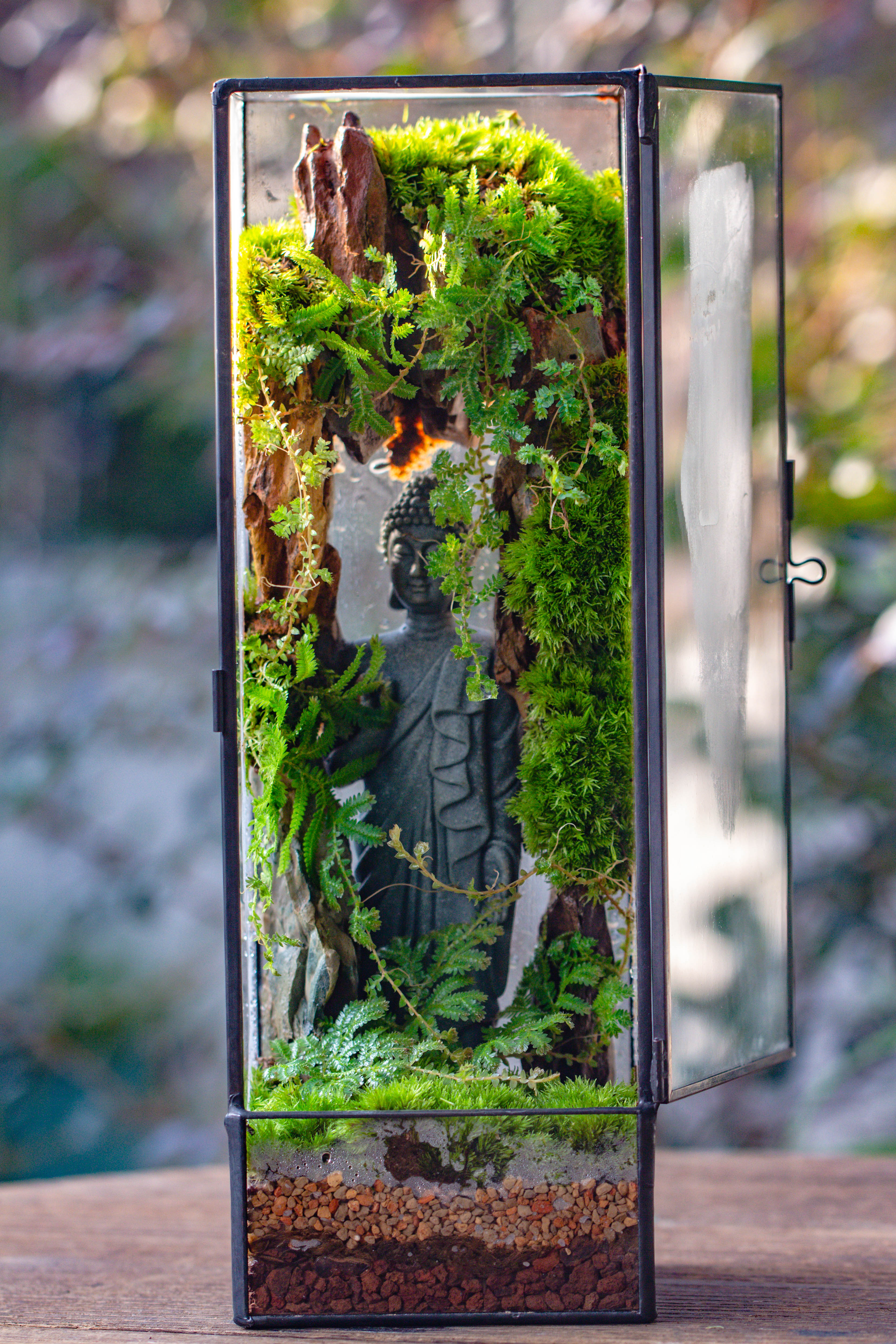 NCYP Close 11.8" Tall Geometric Glass Terrarium with Door DIY set, with Buddha, Dragon rocks, Planting Materials - NCYPgarden