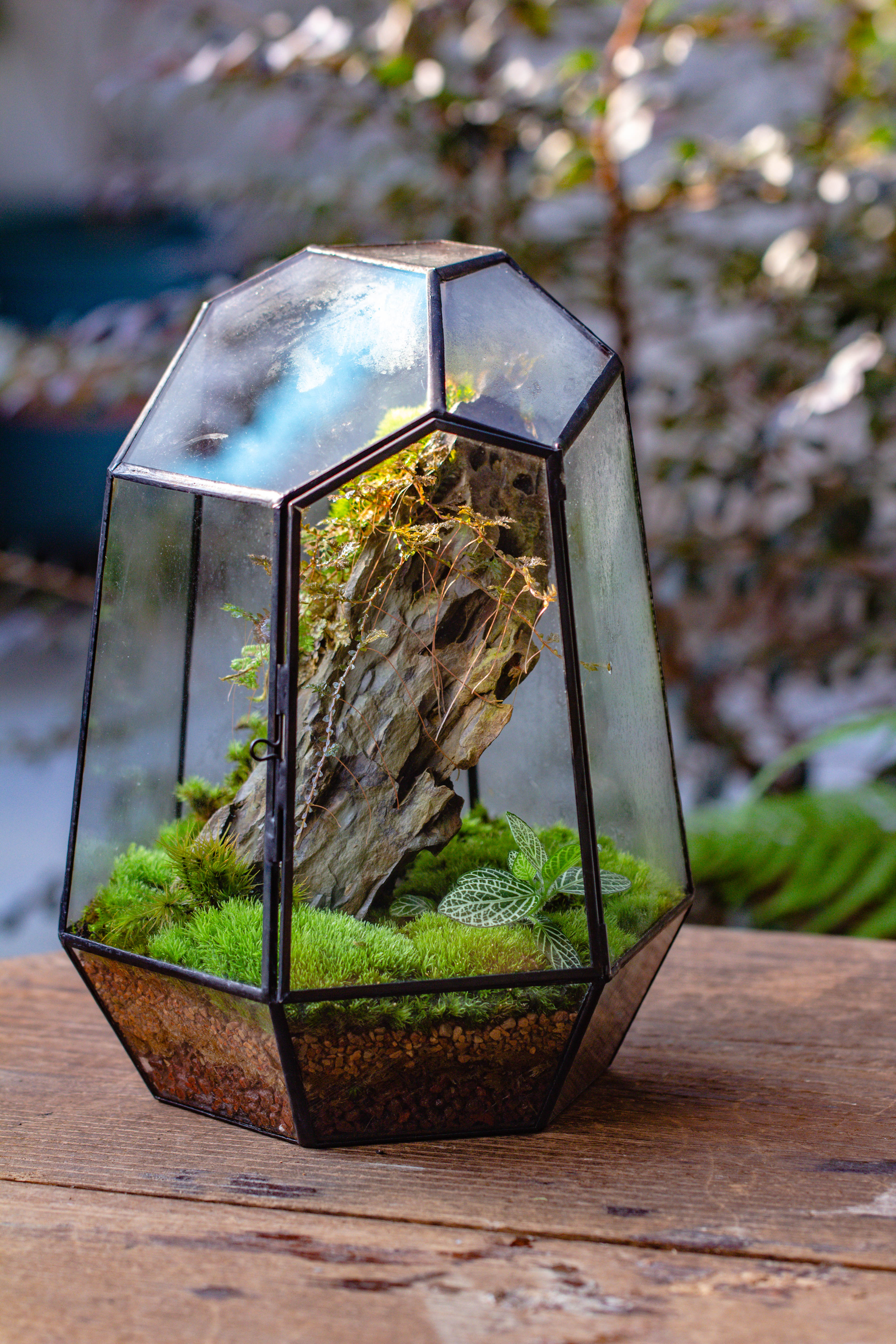 NCYP Large Close Geometric Glass Terrarium with Door, Tin Sealed Irregular Tall Planter for moss Flower Pot - NCYPgarden