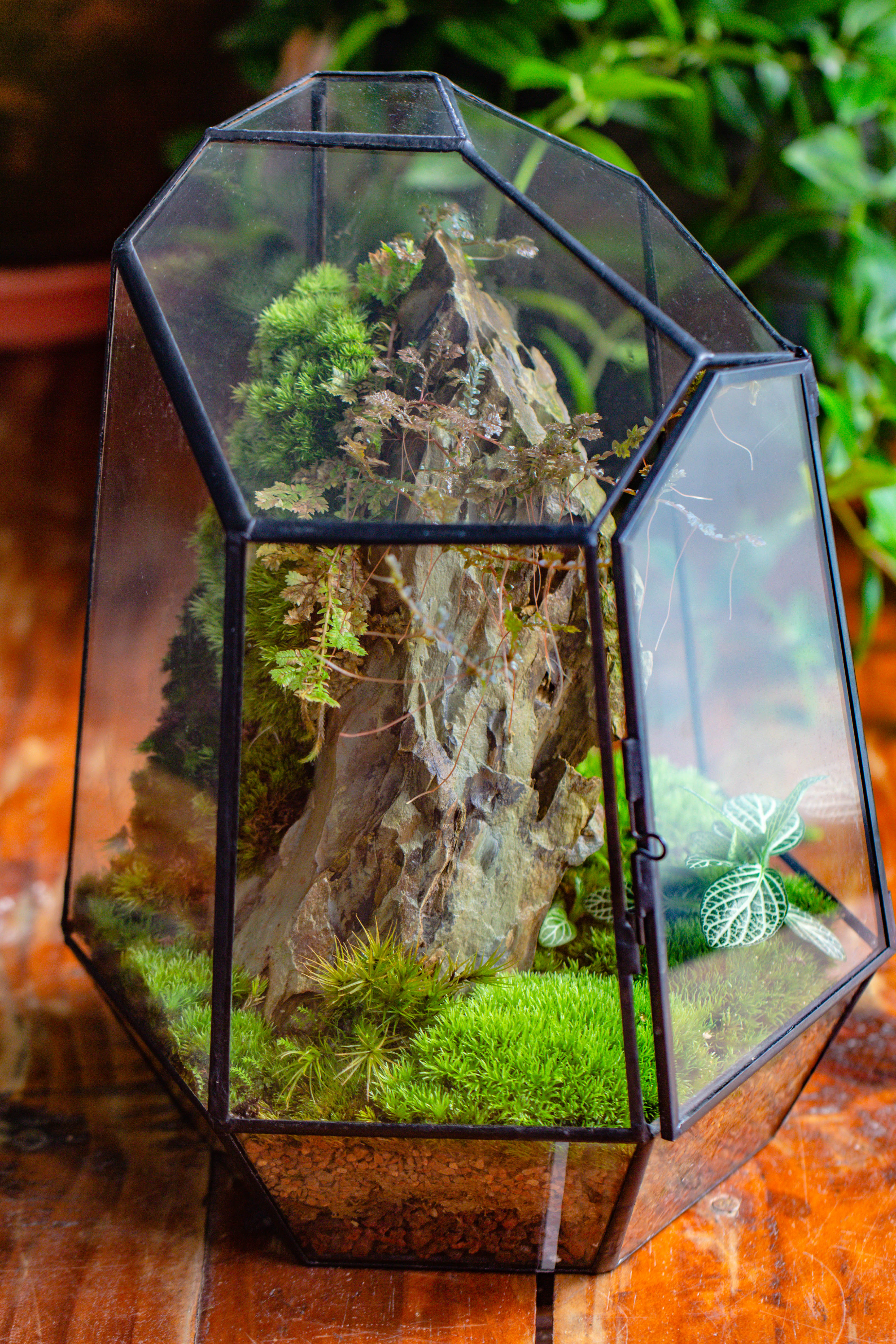 NCYP Large Close Geometric Glass Terrarium with Door, Tin Sealed Irregular Tall Planter for moss Flower Pot - NCYPgarden