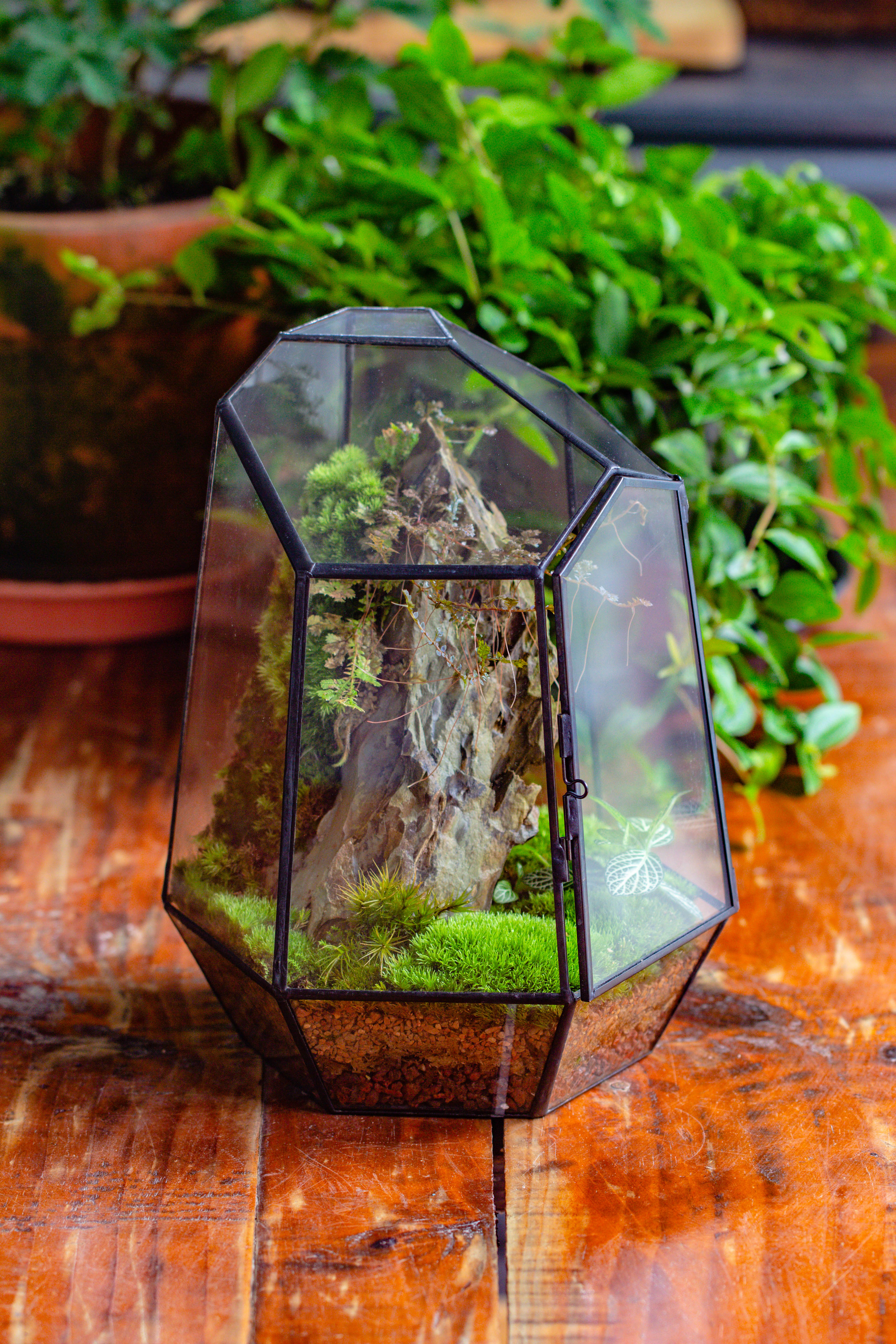 NCYP Large Close Geometric Glass Terrarium with Door, Tin Sealed Irregular Tall Planter for moss Flower Pot - NCYPgarden