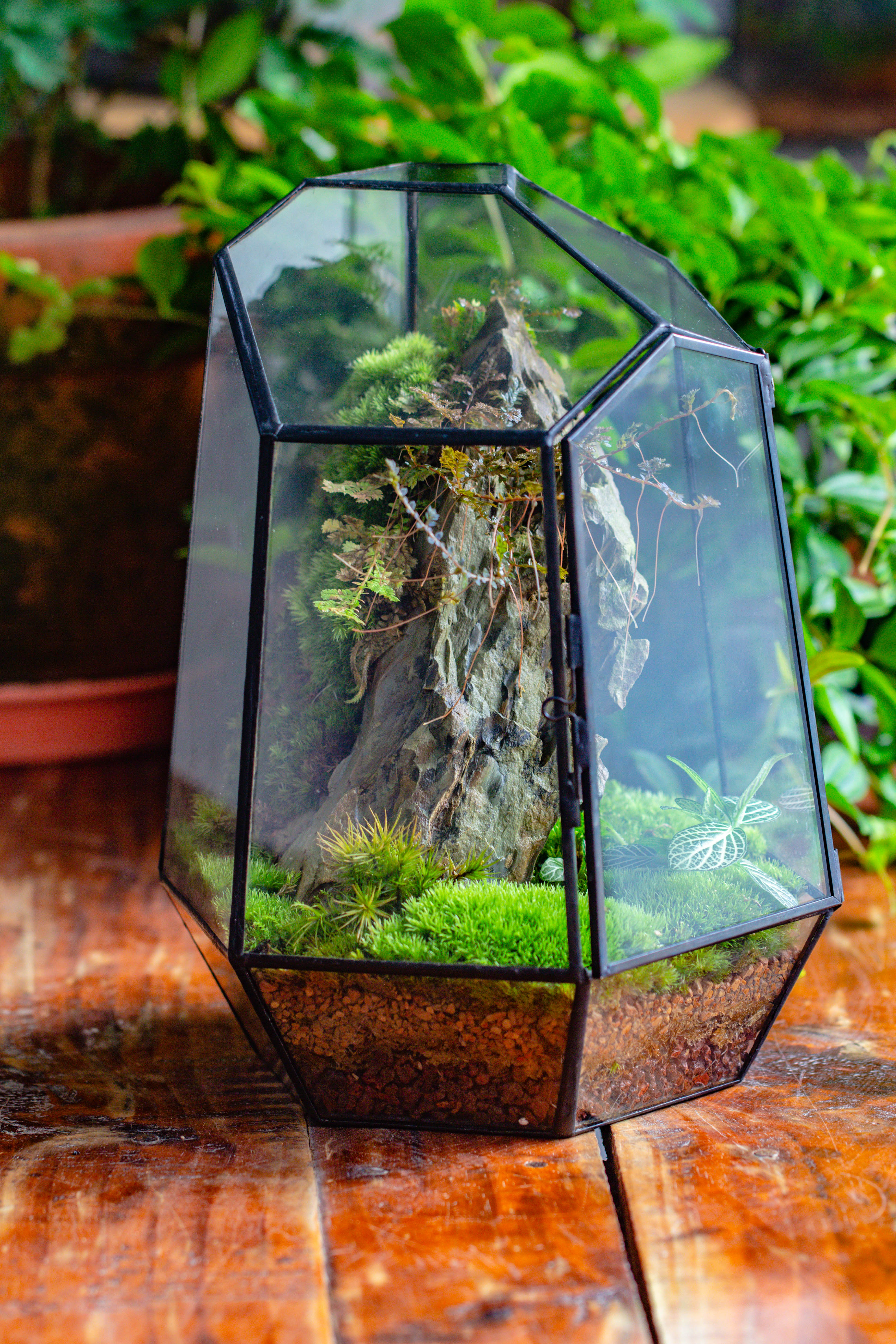 NCYP Large Close Geometric Glass Terrarium with Door, Tin Sealed Irregular Tall Planter for moss Flower Pot - NCYPgarden