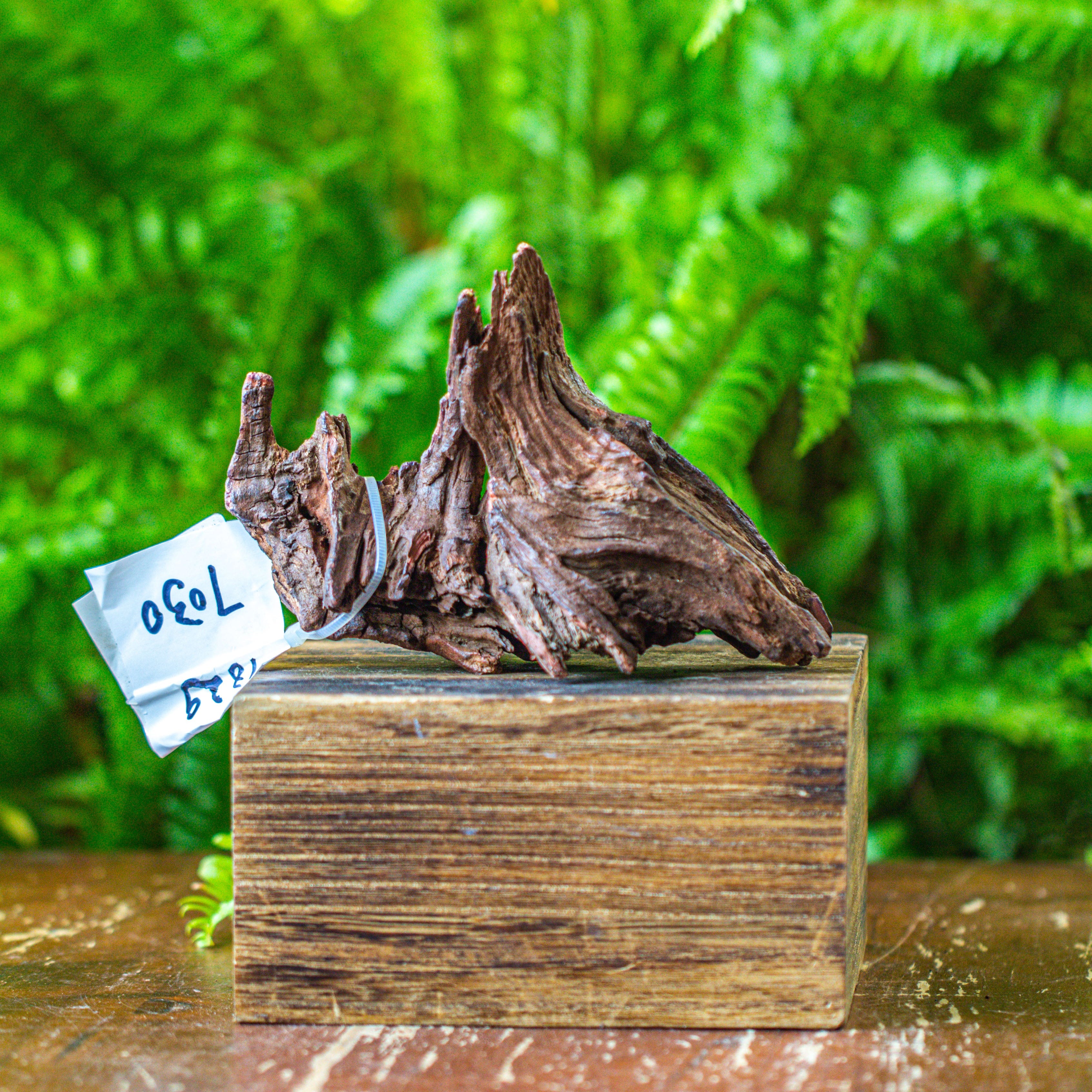 driftwood for moss terrarium, miniature, micro landscape, 7030 - NCYPgarden