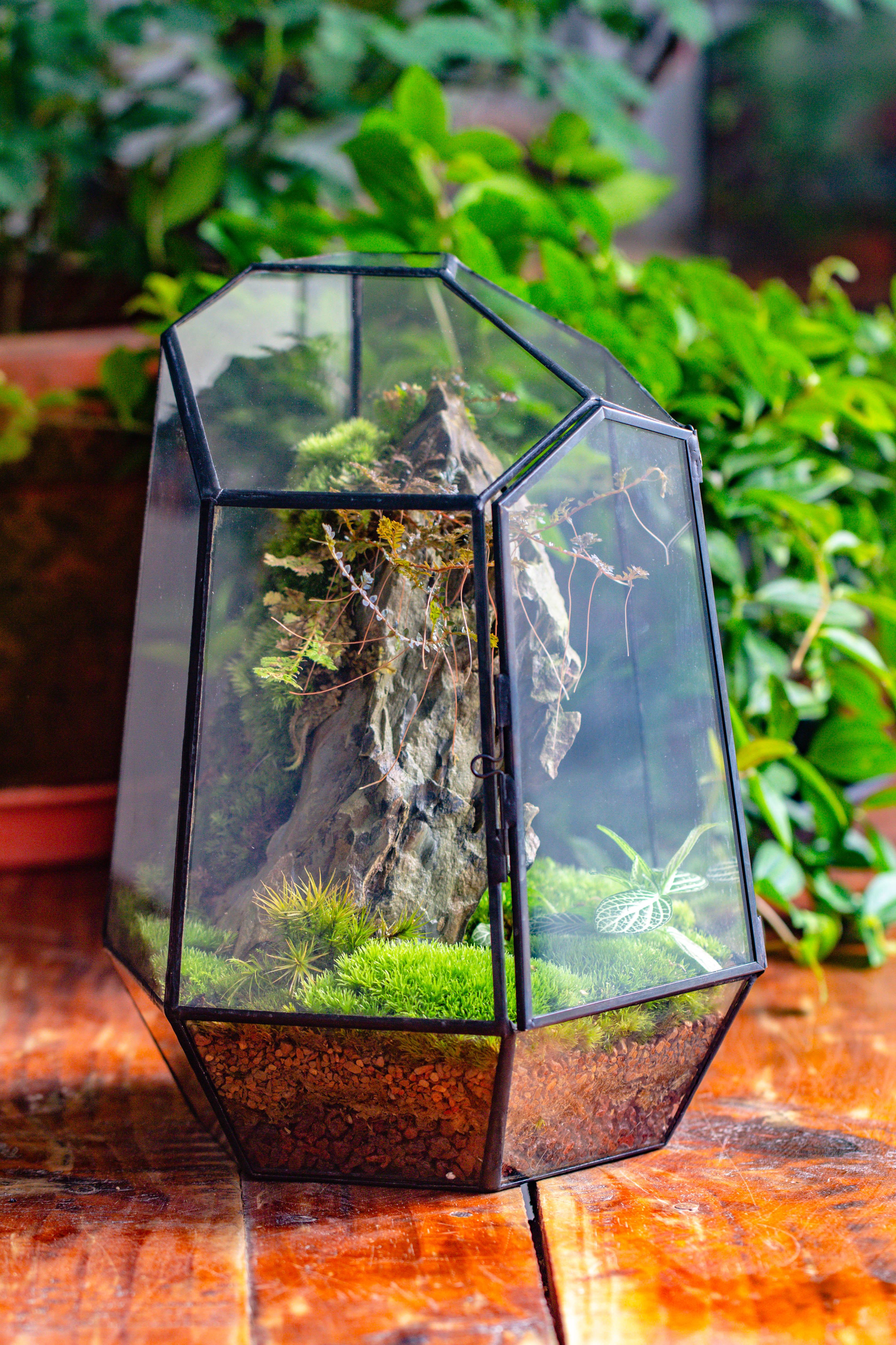NCYP Large Close Geometric Glass Terrarium with Door, Tin Sealed Irregular Tall Planter for moss Flower Pot - NCYPgarden