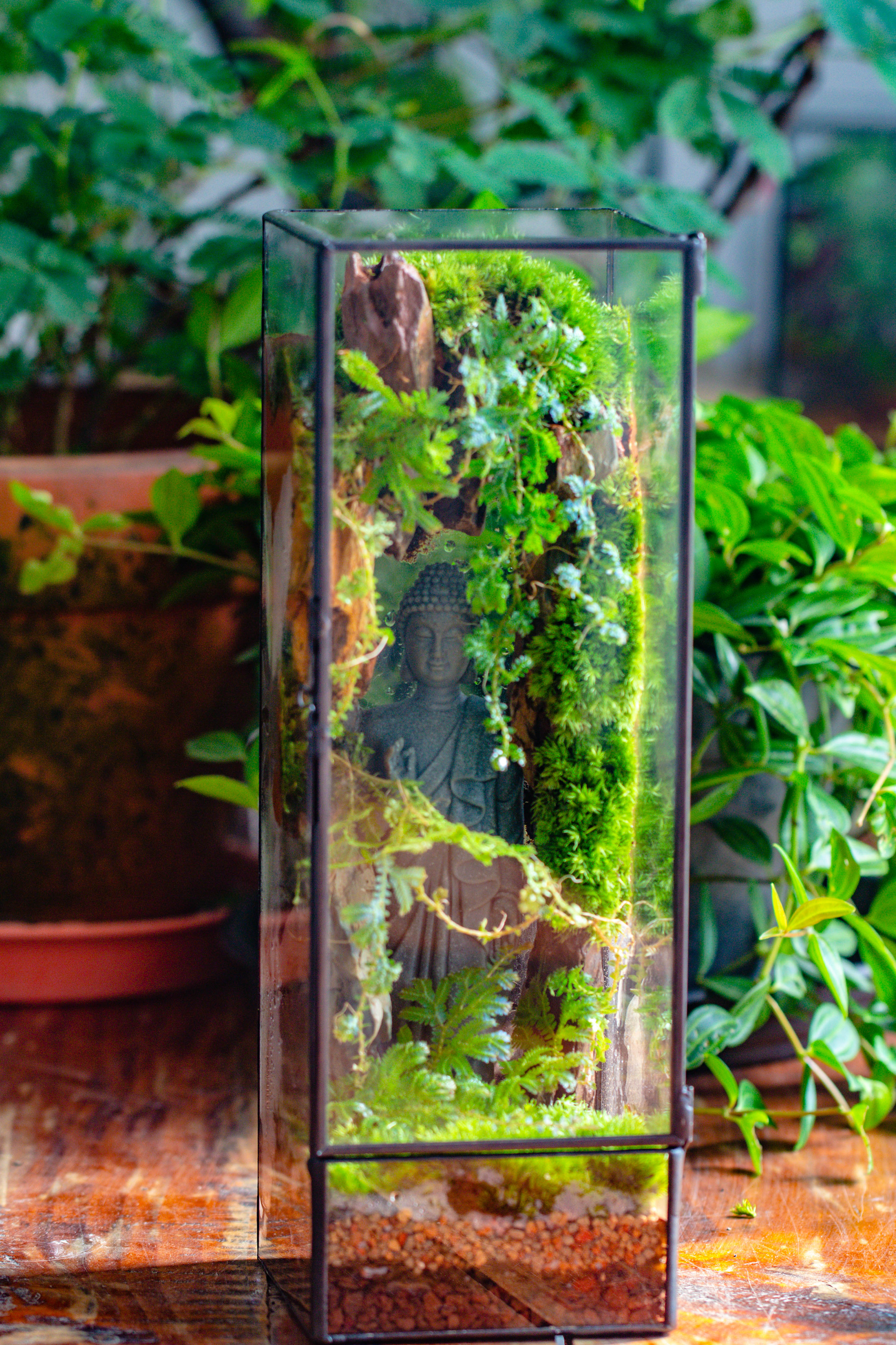 NCYP Close 11.8" Tall Geometric Glass Terrarium with Door DIY set, with Buddha, Dragon rocks, Planting Materials - NCYPgarden