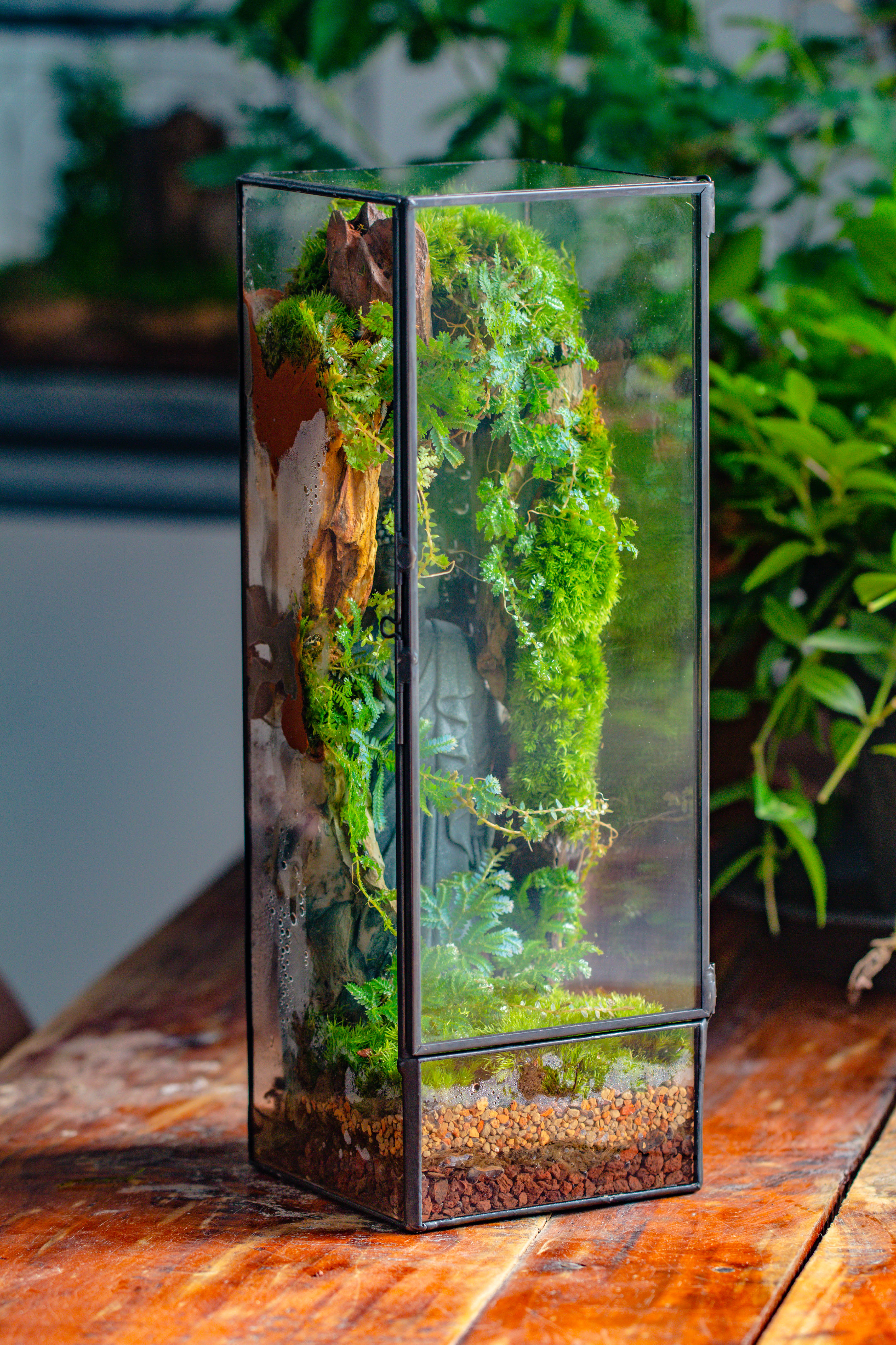 NCYP Close 11.8" Tall Geometric Glass Terrarium with Door DIY set, with Buddha, Dragon rocks, Planting Materials - NCYPgarden