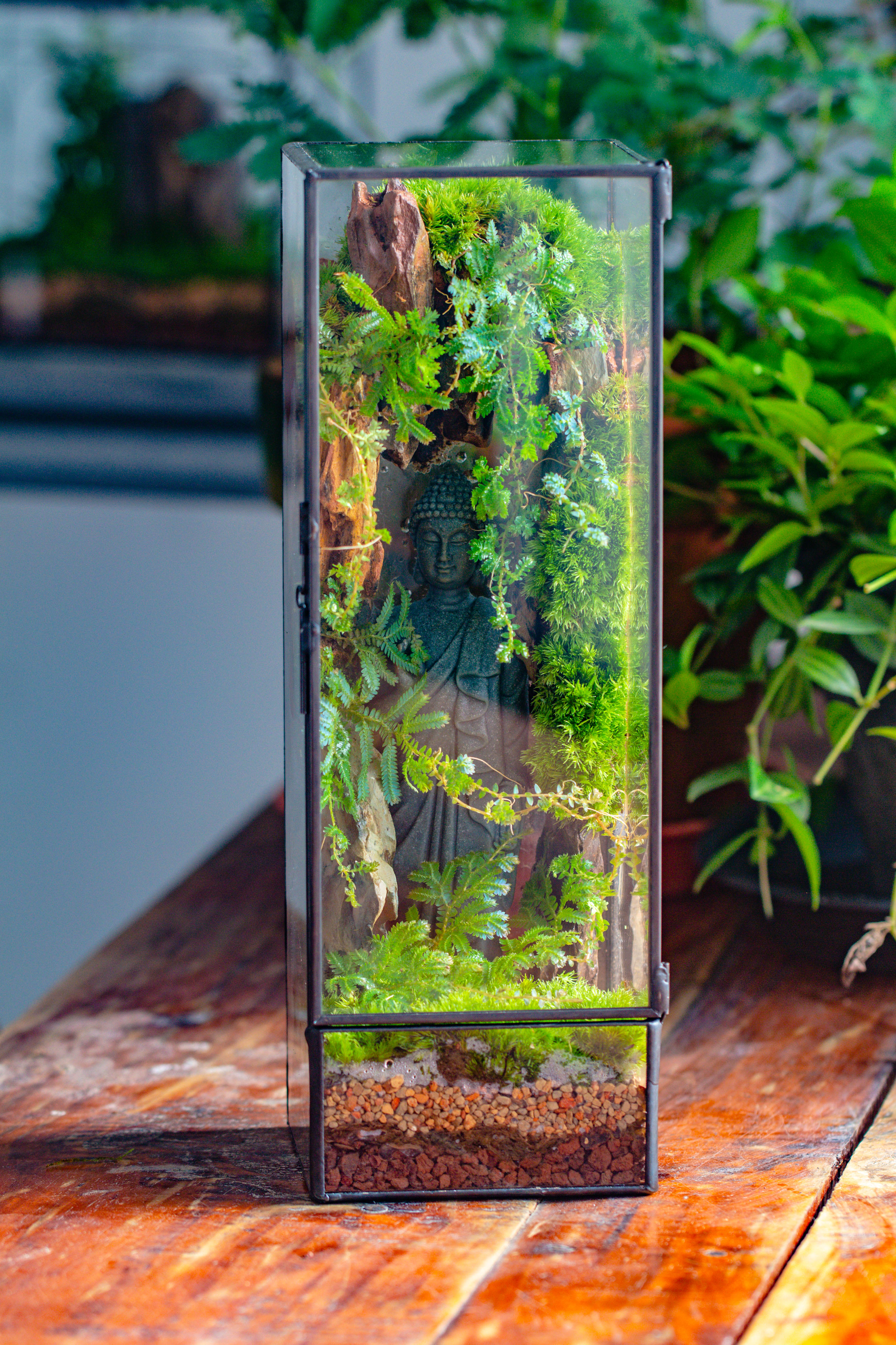 NCYP Close 11.8" Tall Geometric Glass Terrarium with Door DIY set, with Buddha, Dragon rocks, Planting Materials - NCYPgarden