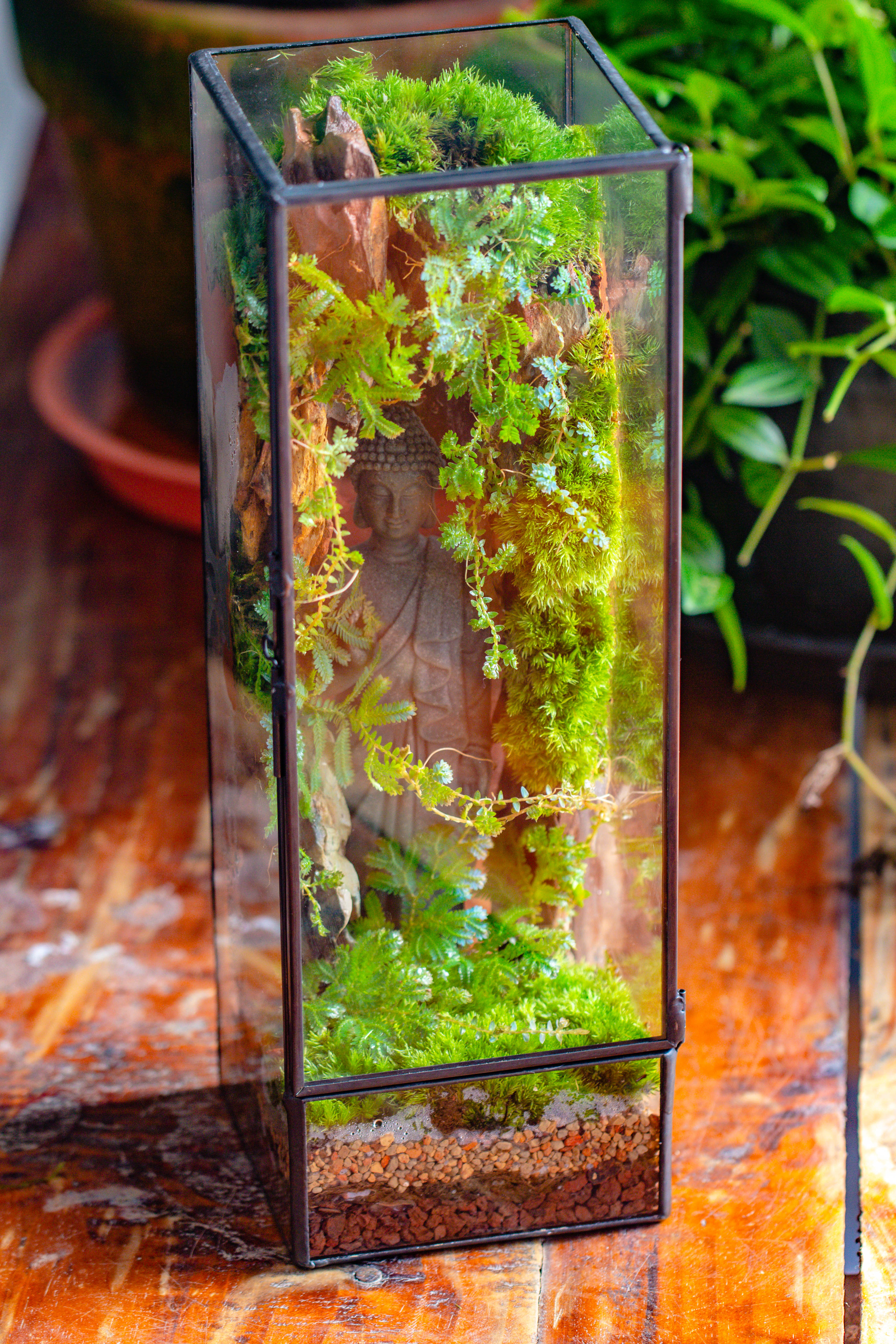 NCYP Close 11.8" Tall Geometric Glass Terrarium with Door DIY set, with Buddha, Dragon rocks, Planting Materials - NCYPgarden