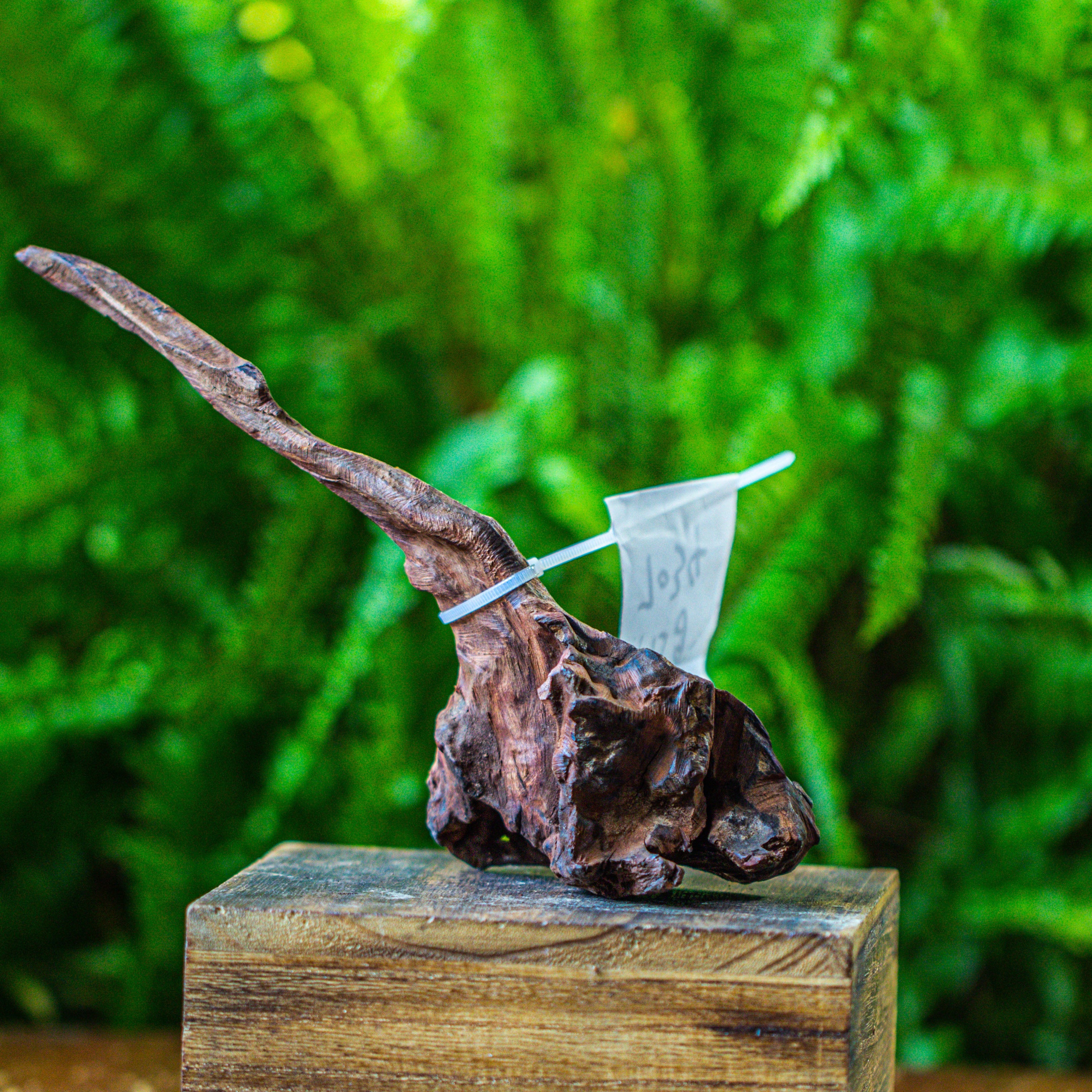 driftwood for moss terrarium, miniature, micro landscape, 7034 - NCYPgarden