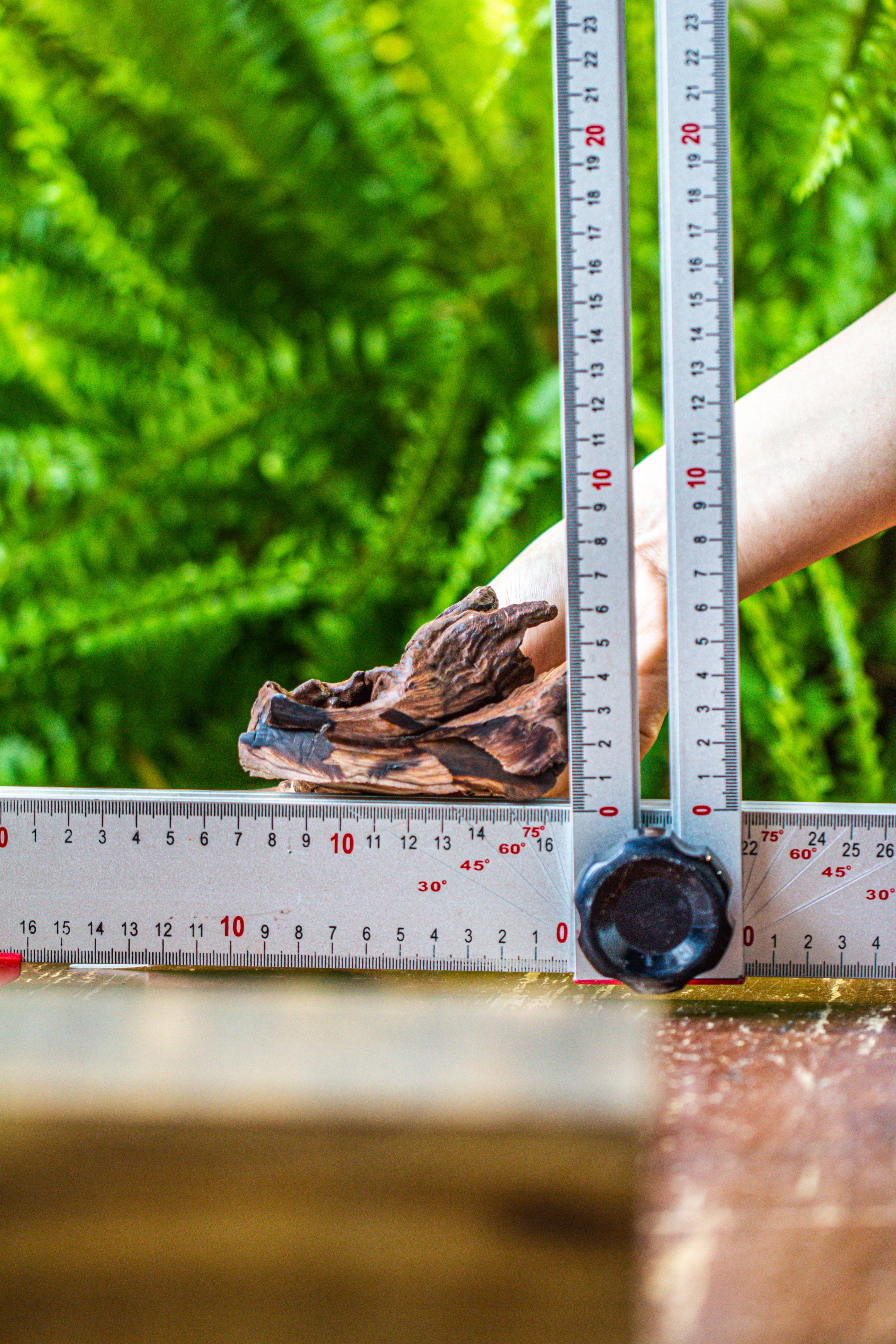driftwood for moss terrarium, miniature, micro landscape, 7034 - NCYPgarden