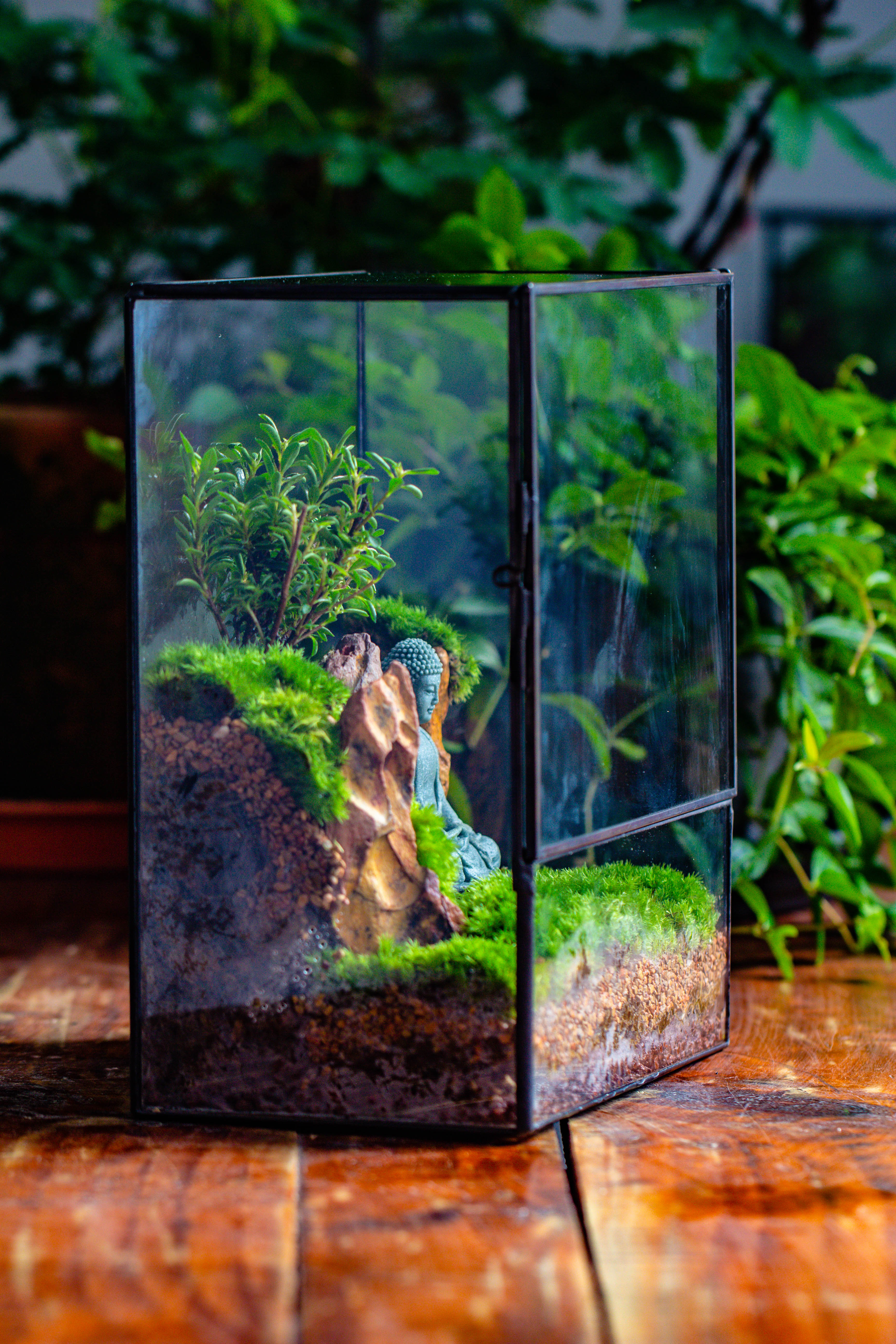 Close Geometric Glass Tin Terrarium , 8x10" and Buddha, rock, Micro Landscape Moss Terrarium Building DIY set No plants, Customizable - NCYPgarden