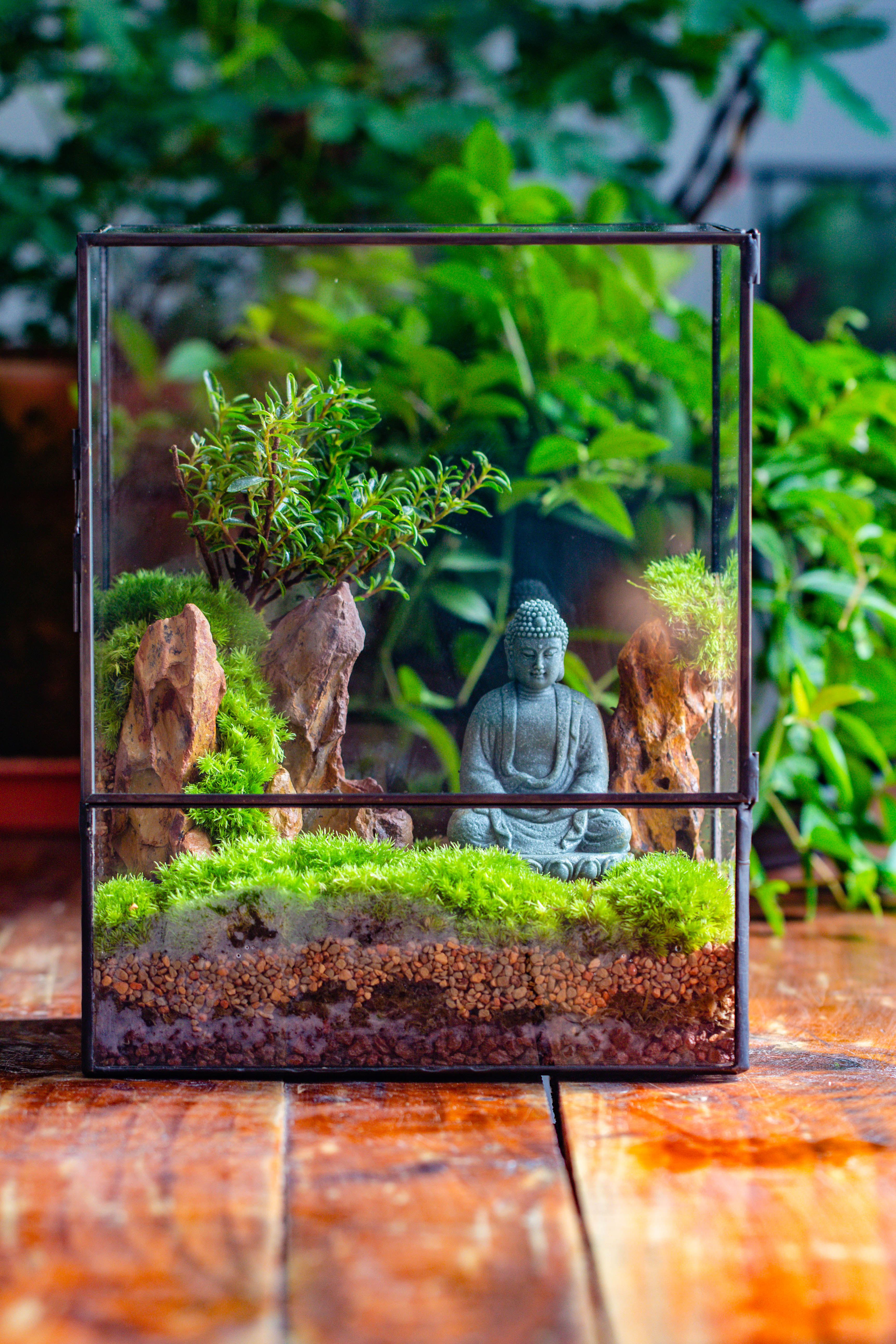 Close Geometric Glass Tin Terrarium , 8x10" and Buddha, rock, Micro Landscape Moss Terrarium Building DIY set No plants, Customizable - NCYPgarden