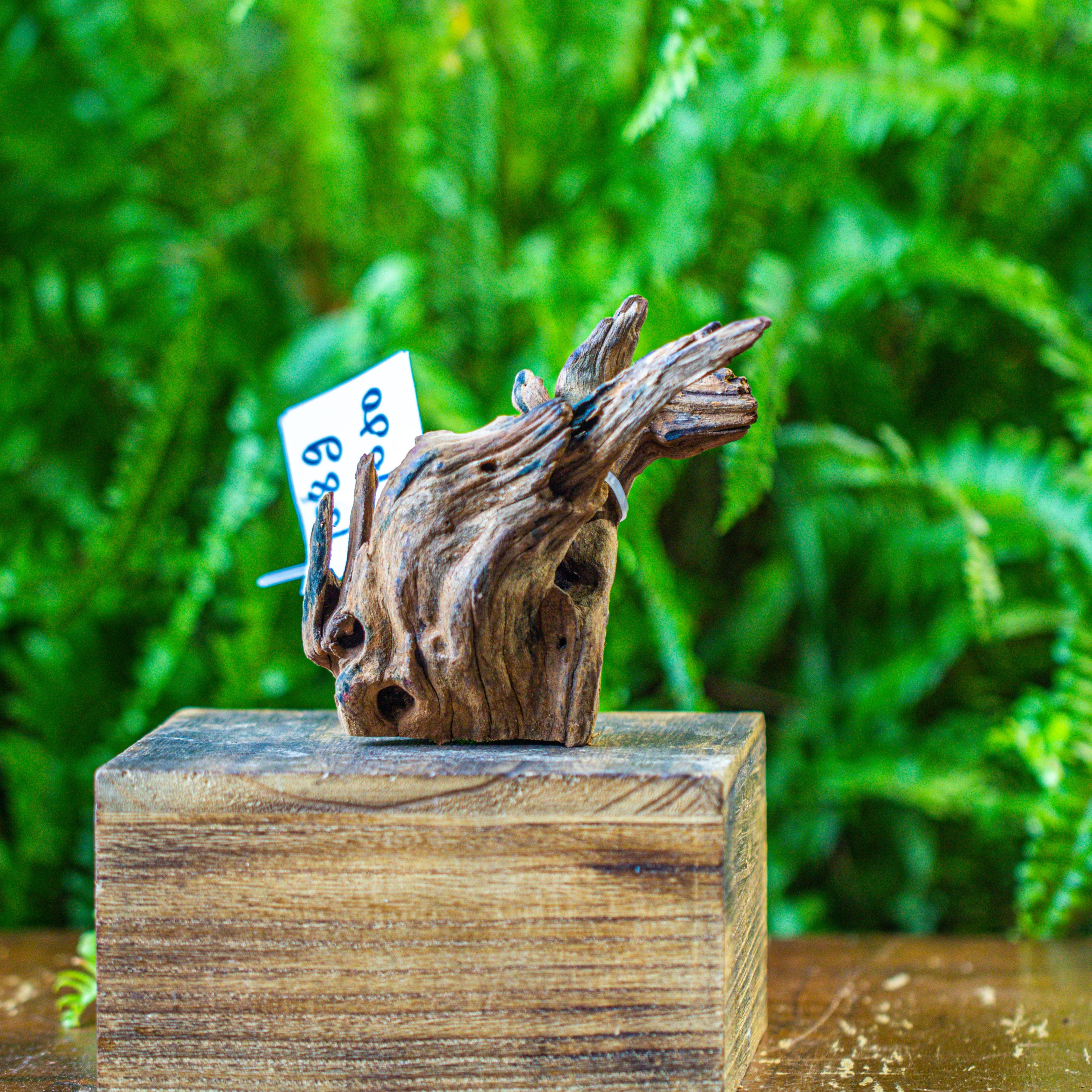 driftwood for moss terrarium, miniature, micro landscape, 7050 - NCYPgarden