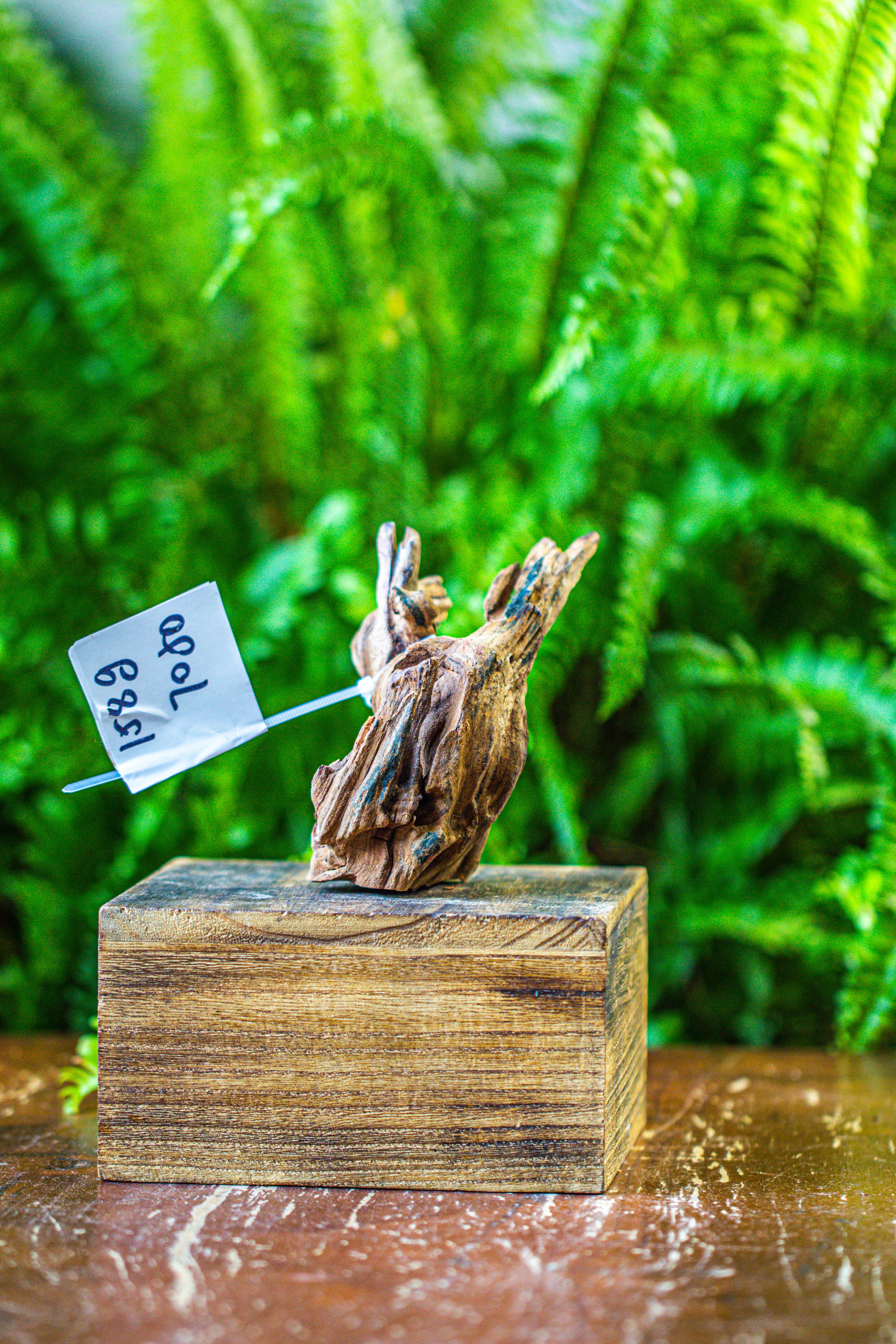 driftwood for moss terrarium, miniature, micro landscape, 7050 - NCYPgarden