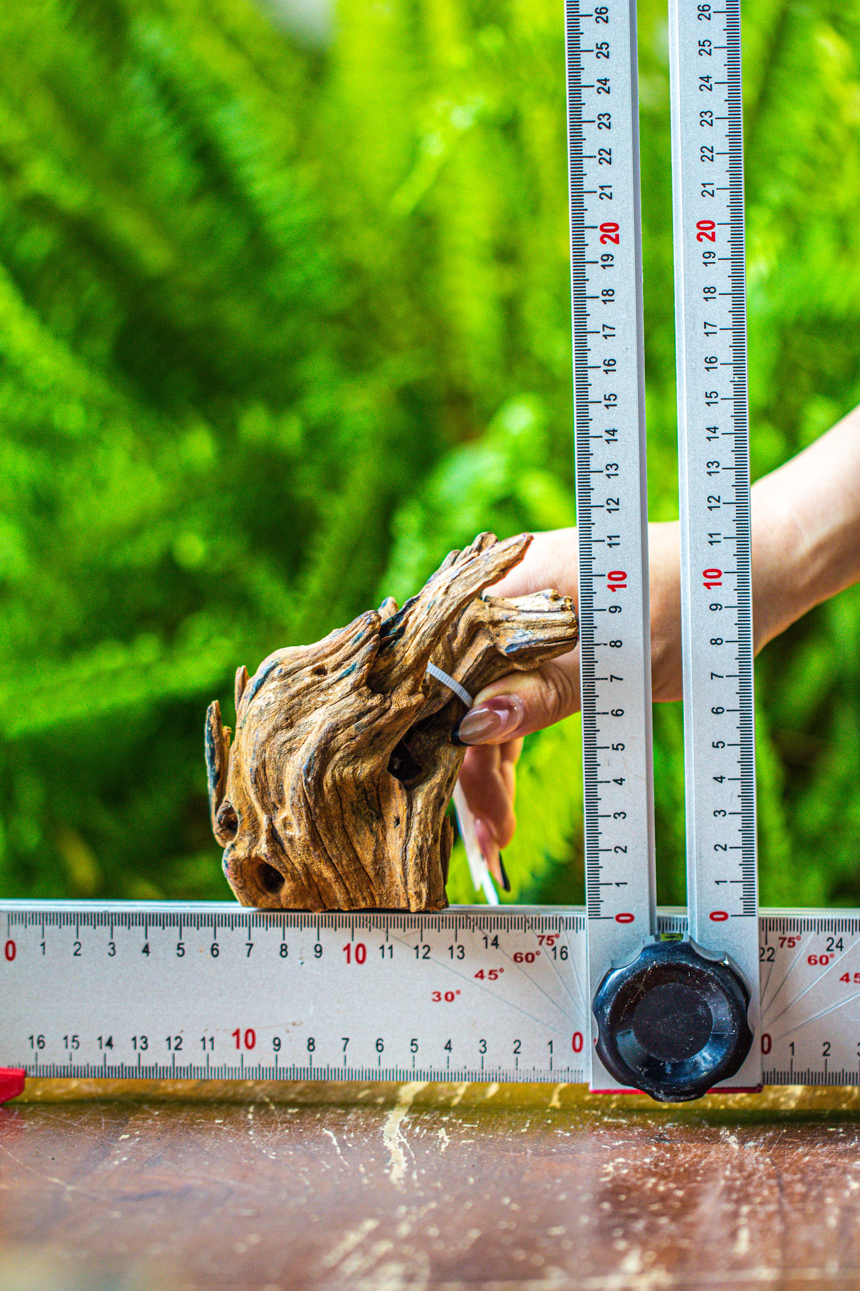 driftwood for moss terrarium, miniature, micro landscape, 7050 - NCYPgarden