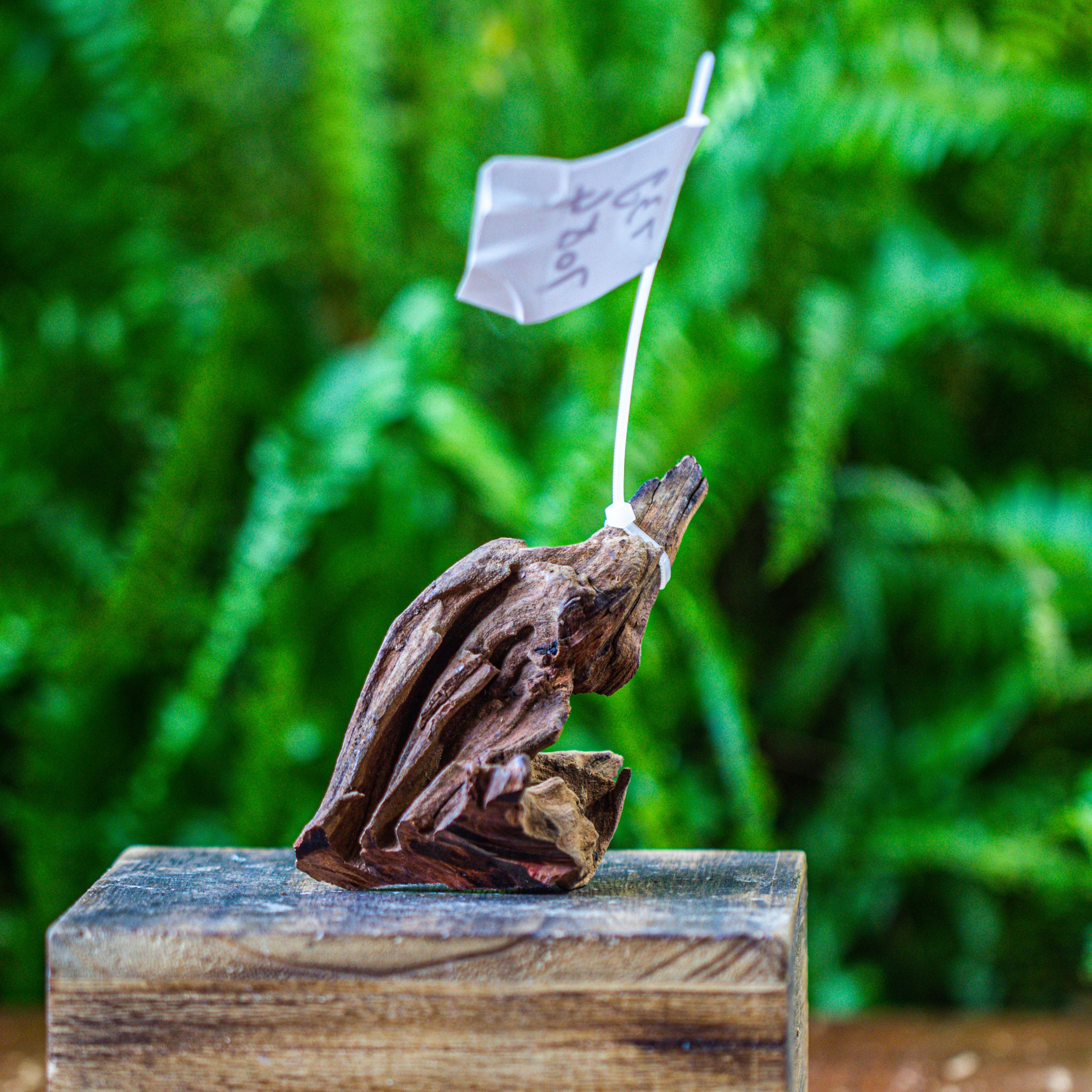 driftwood for moss terrarium, miniature, micro landscape, 7054 - NCYPgarden