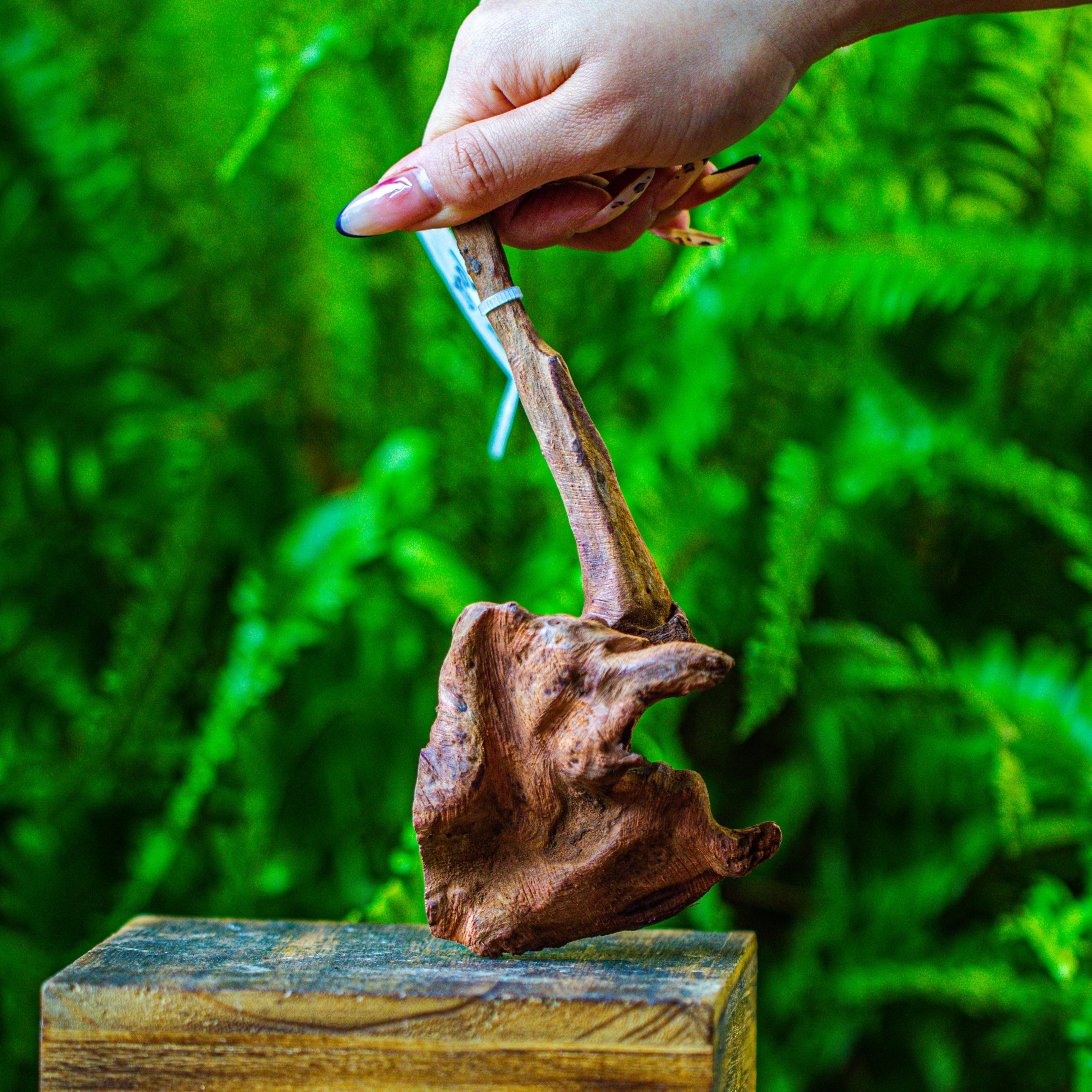 driftwood for moss terrarium, miniature, micro landscape, 7042 - NCYPgarden