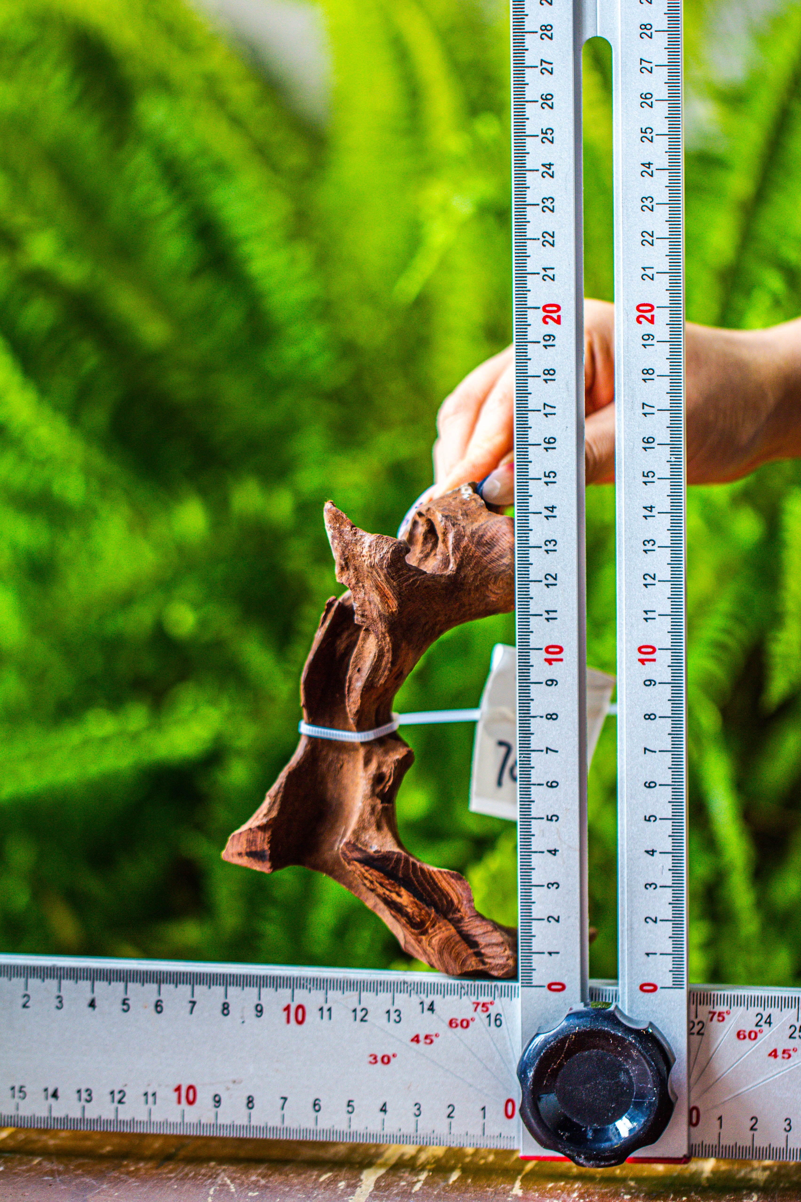 driftwood for moss terrarium, miniature, micro landscape, 7046 - NCYPgarden