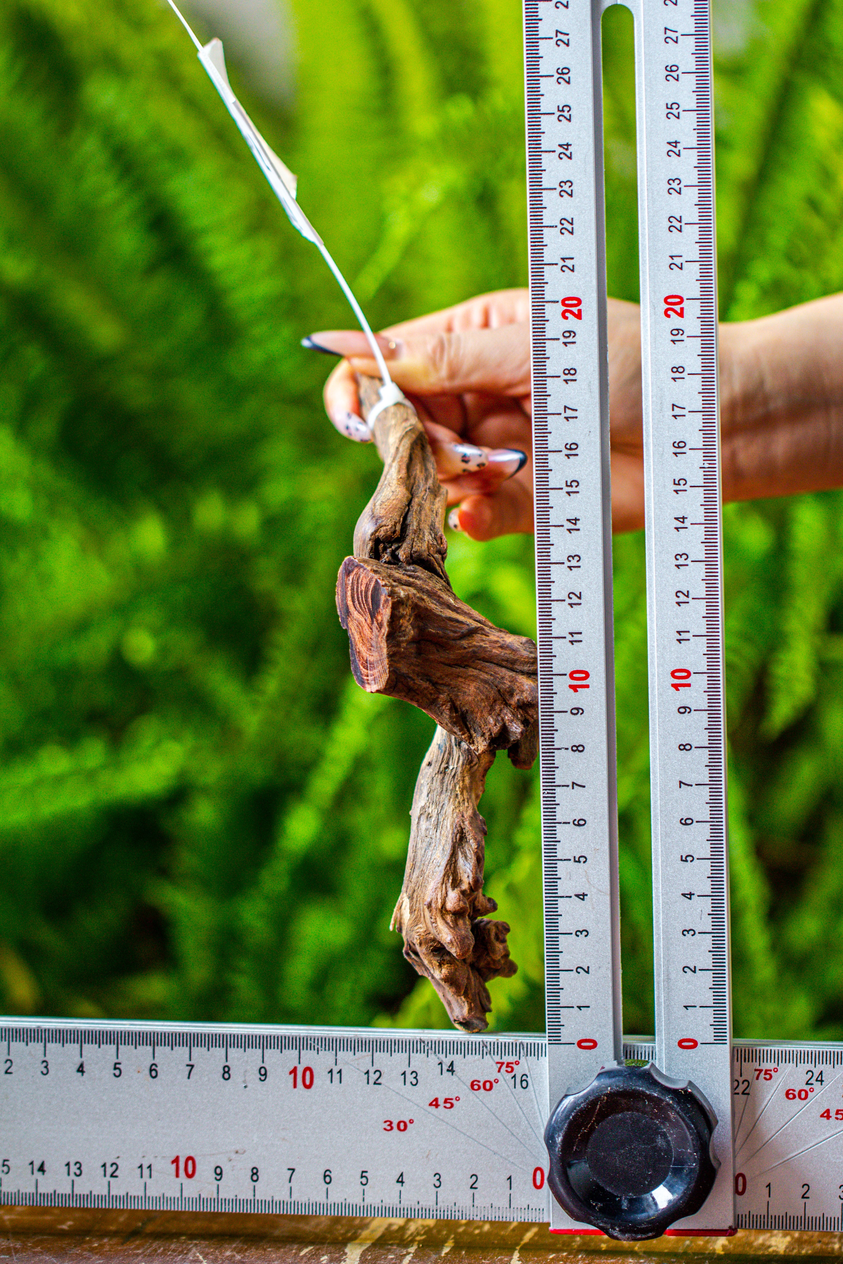 driftwood for moss terrarium, miniature, micro landscape, 7036 - NCYPgarden