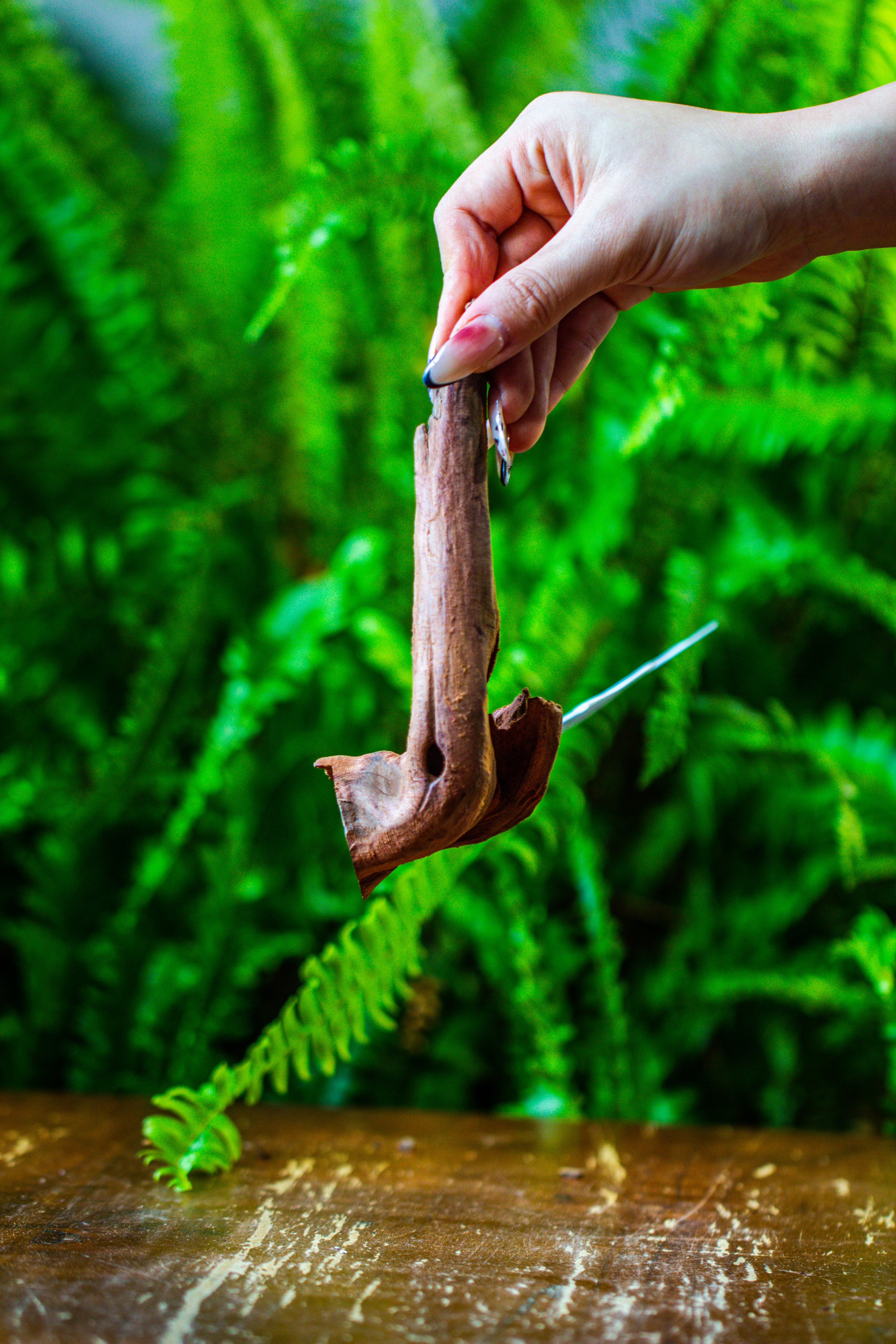 driftwood for moss terrarium, miniature, micro landscape, 7045 - NCYPgarden