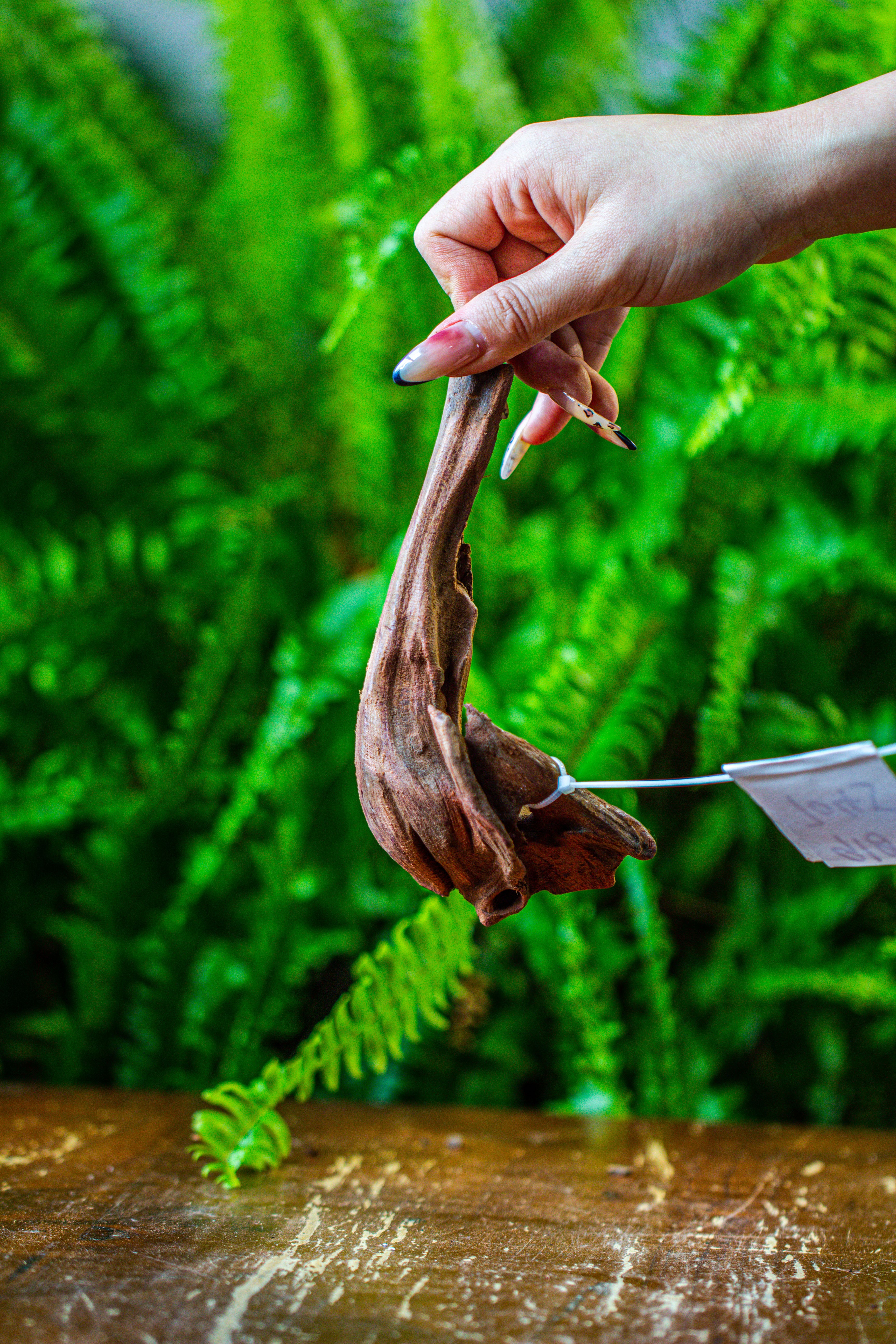 driftwood for moss terrarium, miniature, micro landscape, 7045 - NCYPgarden