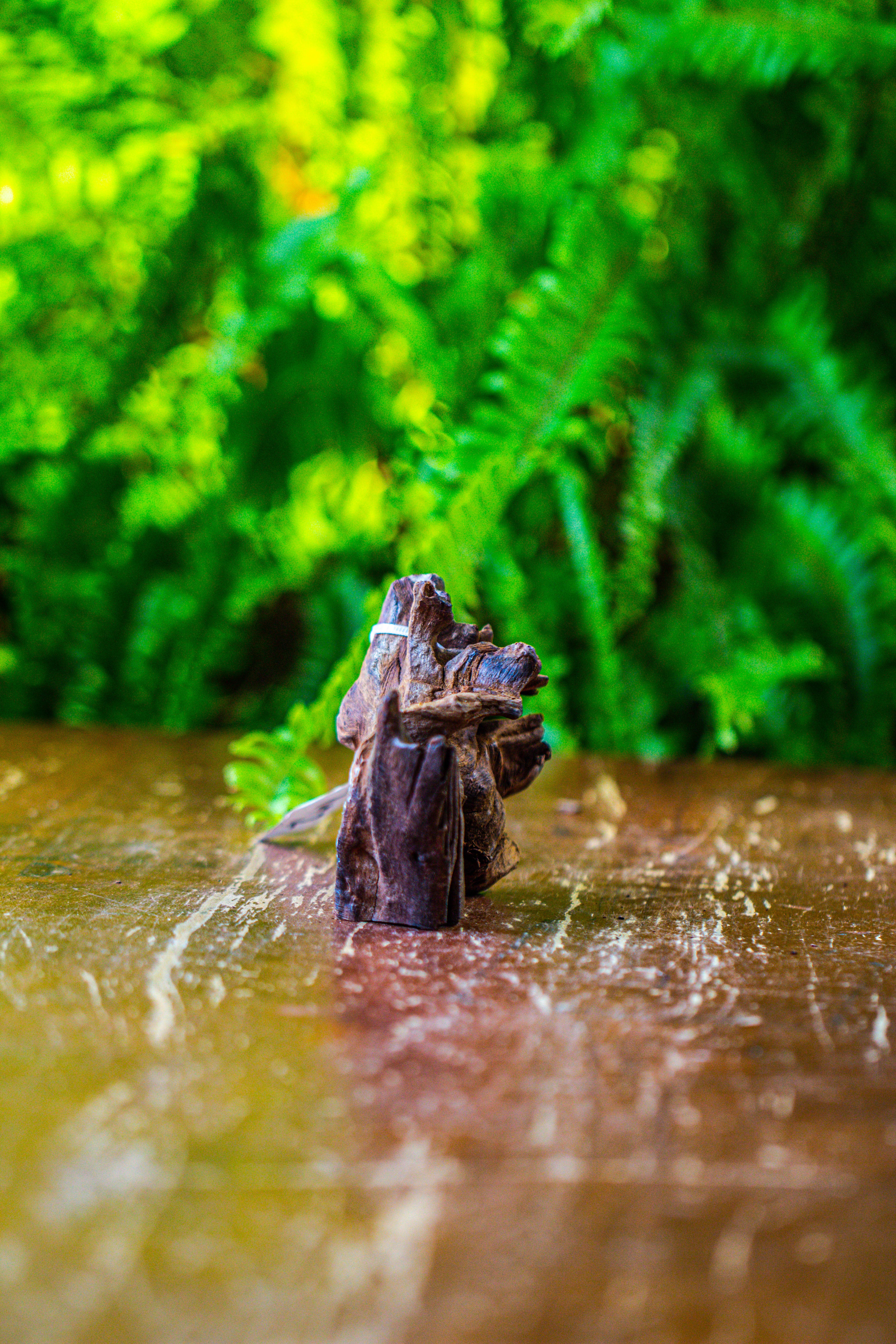driftwood for moss terrarium, miniature, micro landscape, 7052 - NCYPgarden