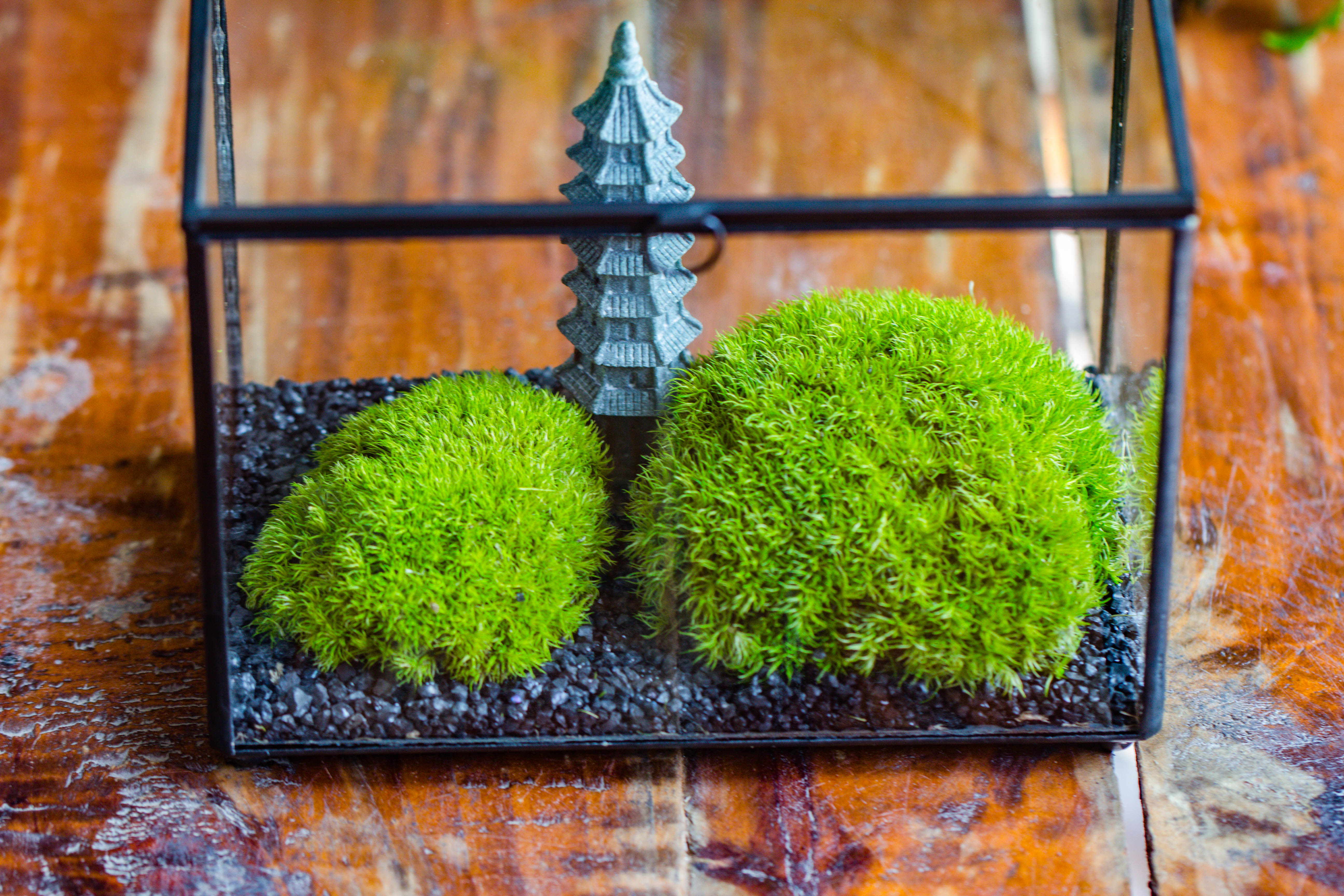 Preserved moss terrarium Miniature DIY set, Japanese Zen Style, Preserved Leucobryum moss and pagoda, 17*10*12cm / 6.7 x 3.9 x 4.7" - NCYPgarden