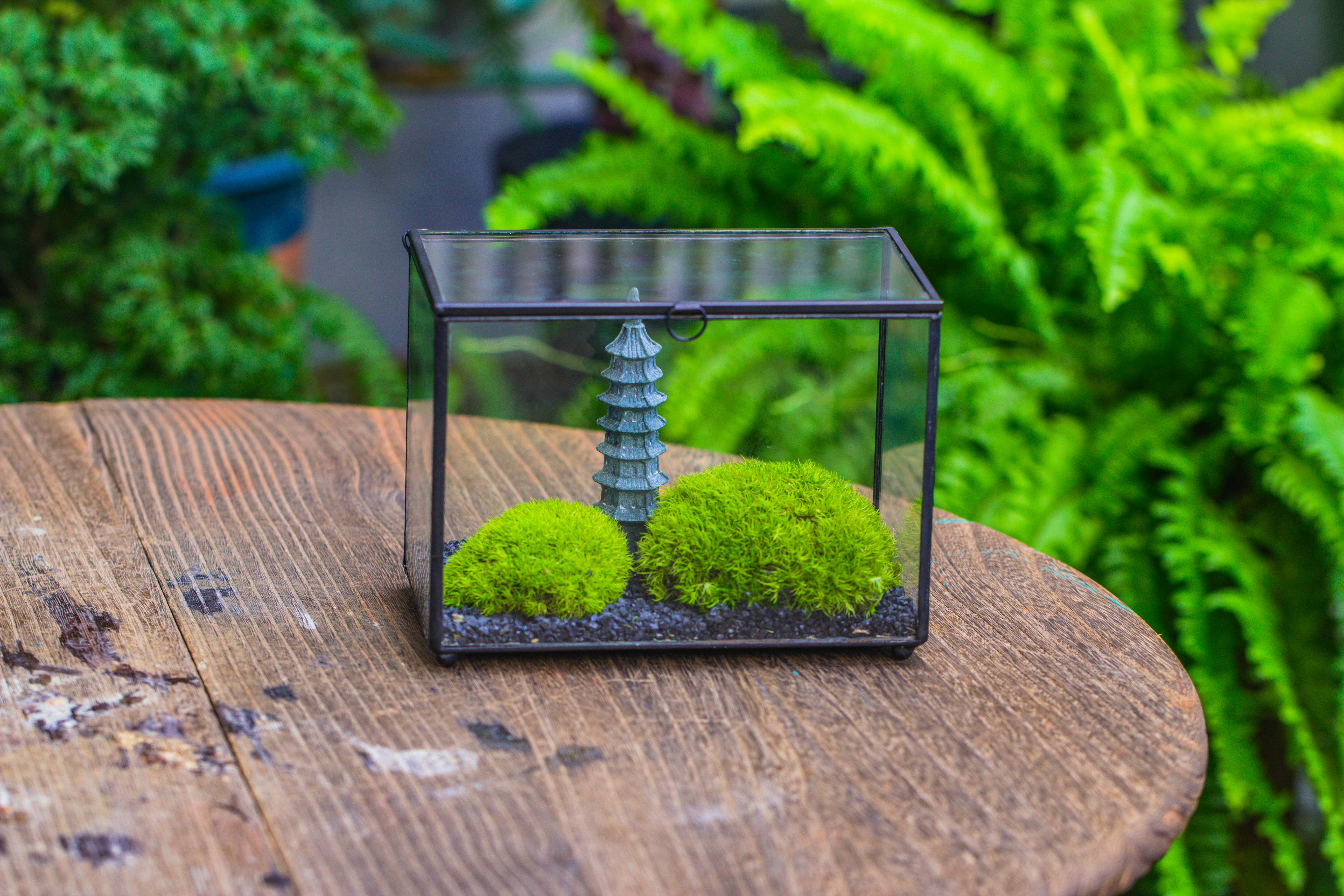 Preserved moss terrarium Miniature DIY set, Japanese Zen Style, Preserved Leucobryum moss and pagoda, 17*10*12cm / 6.7 x 3.9 x 4.7" - NCYPgarden