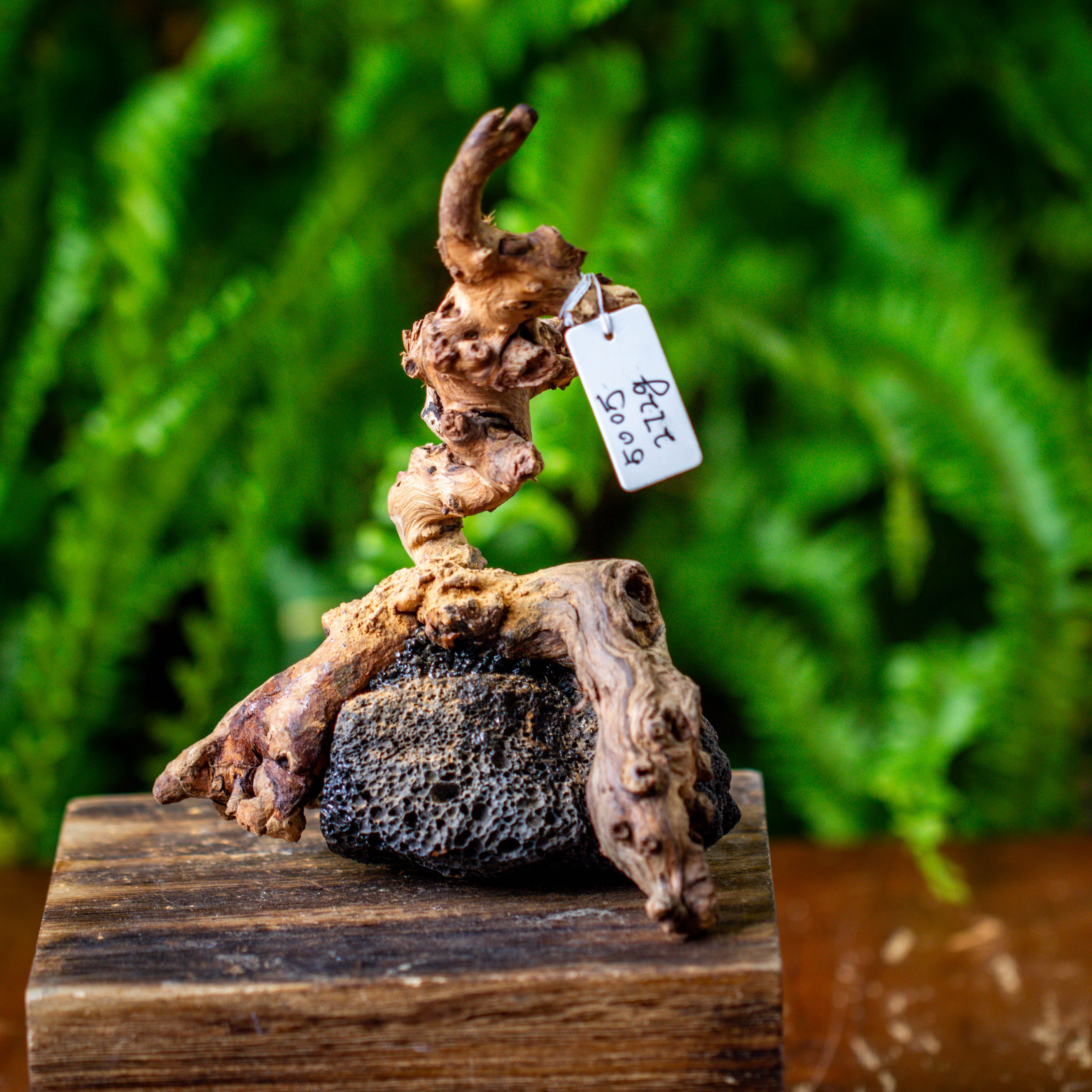 driftwood and lava rock structure for moss terrarium, miniature, micro landscape, 5005 - NCYPgarden