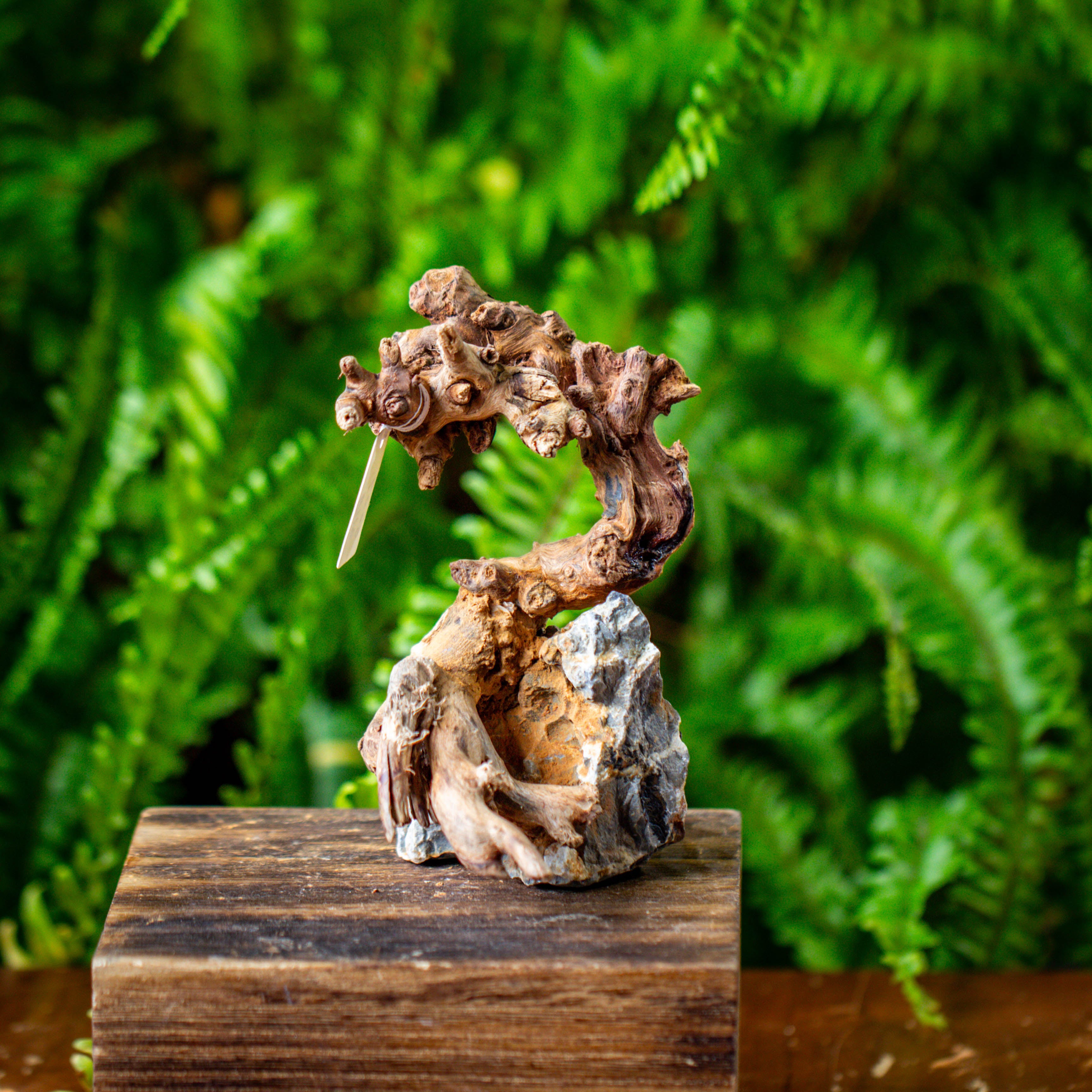 driftwood and rock structure for moss terrarium, miniature, micro landscape, 5009 - NCYPgarden