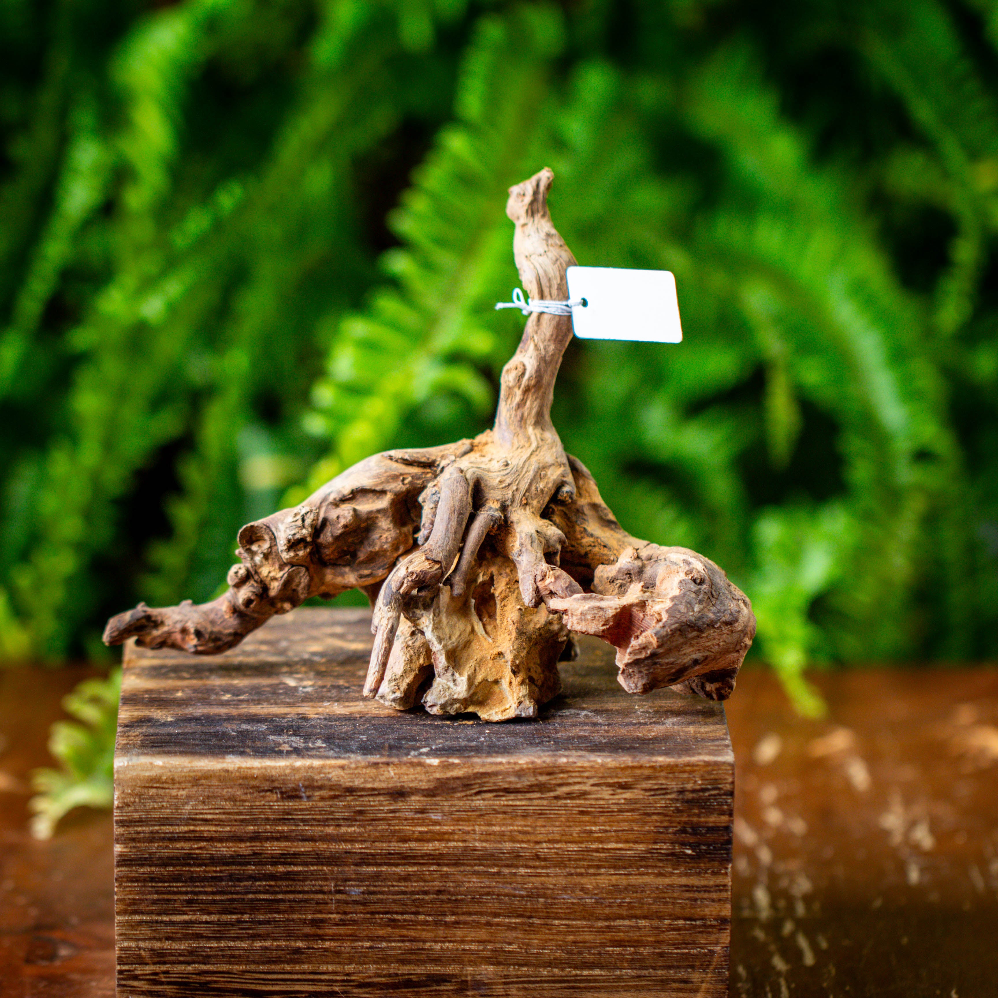 driftwood and dragon rock structure for moss terrarium, miniature, micro landscape, 5004 - NCYPgarden