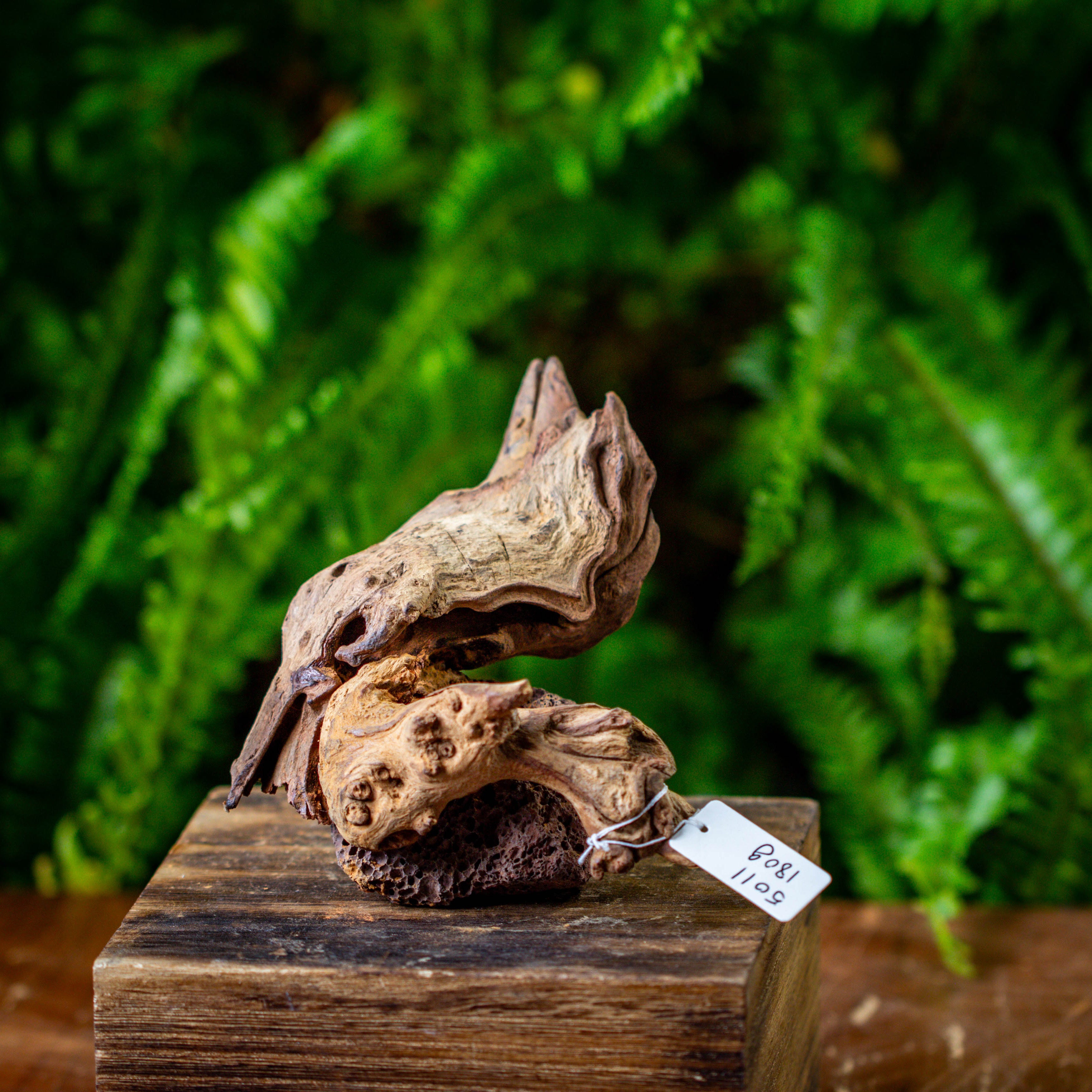 driftwood and rock structure for moss terrarium, miniature, micro landscape, 5011 - NCYPgarden