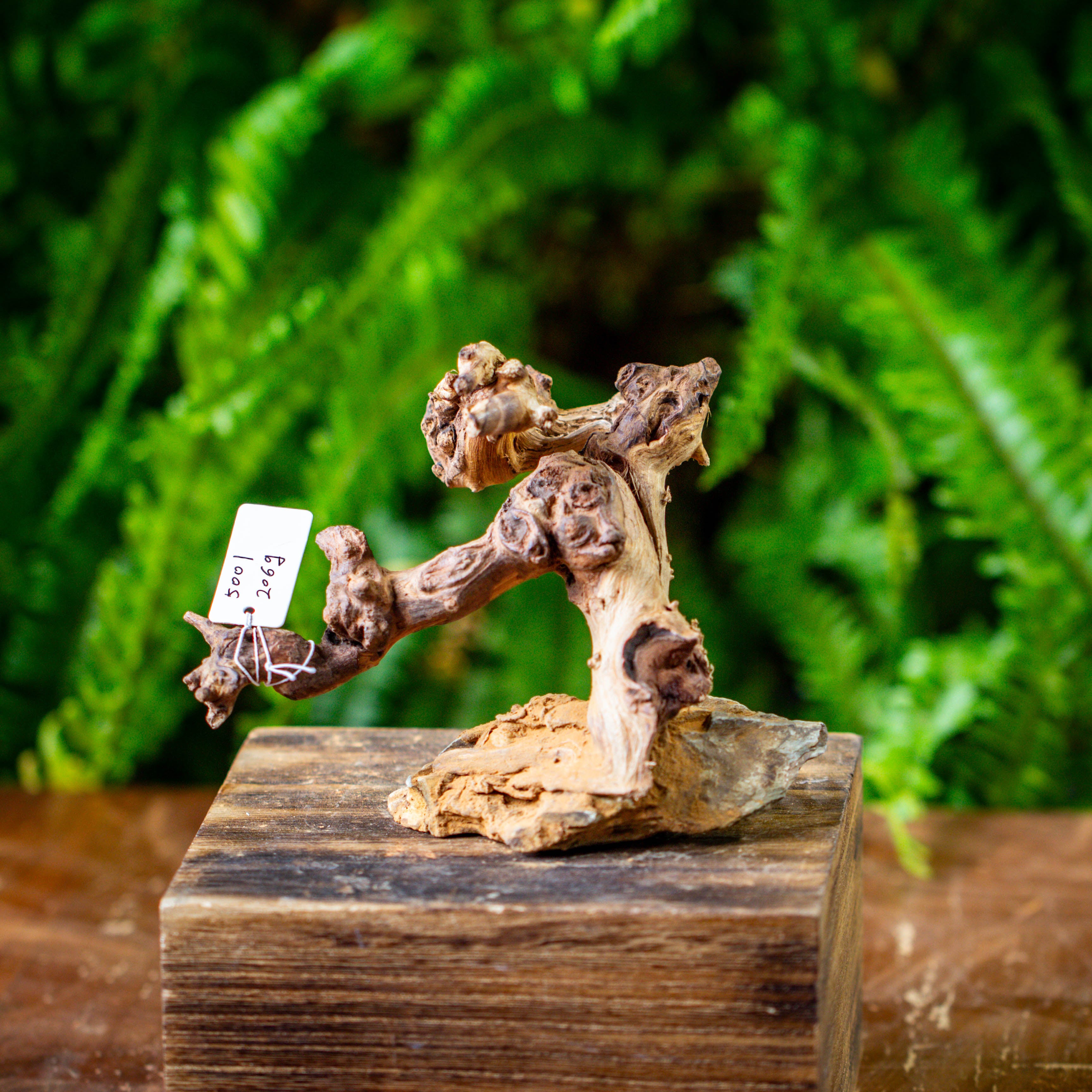 driftwood and dragon rock structure for moss terrarium, miniature, micro landscape, 5001 - NCYPgarden