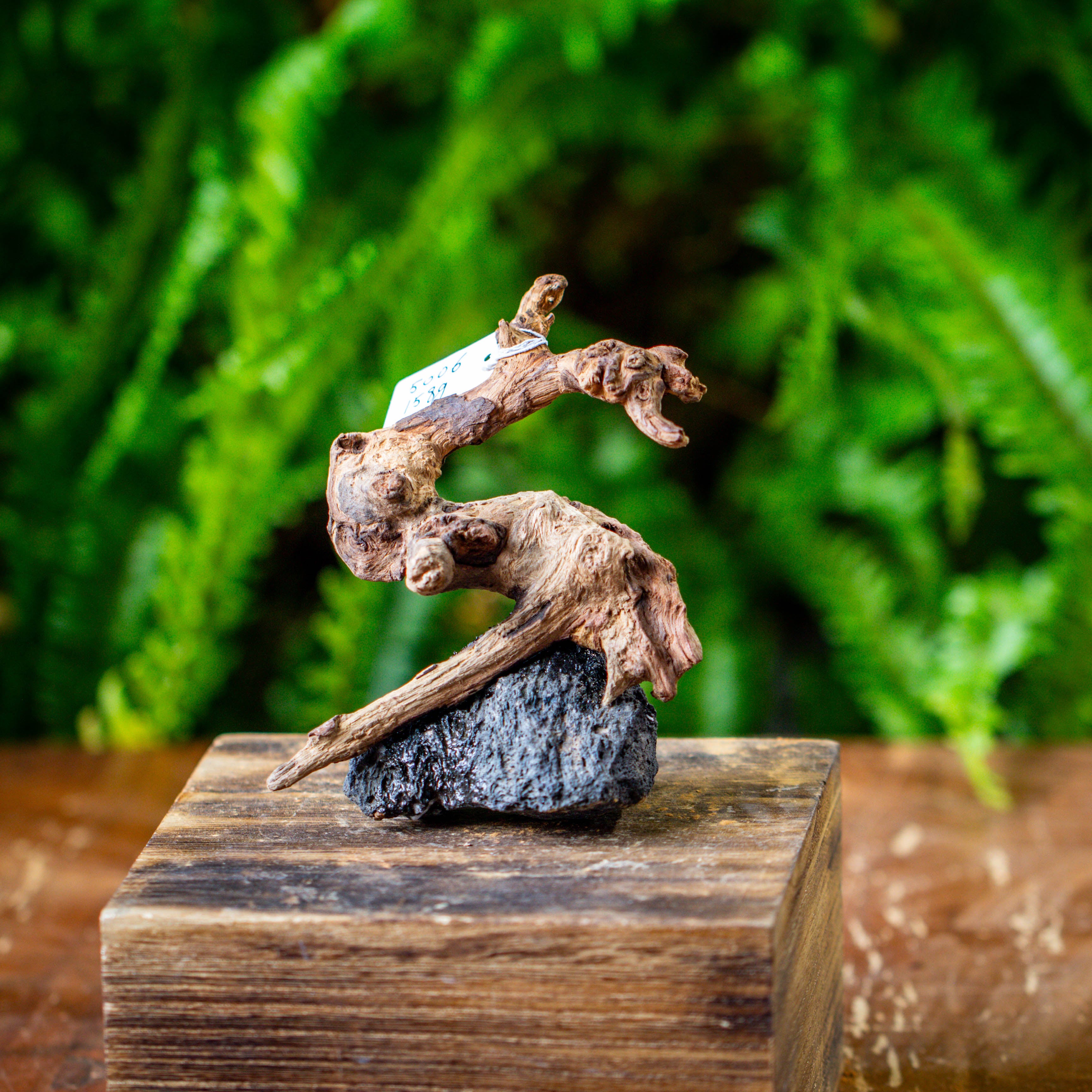 driftwood and rock structure for moss terrarium, miniature, micro landscape, 5006 - NCYPgarden