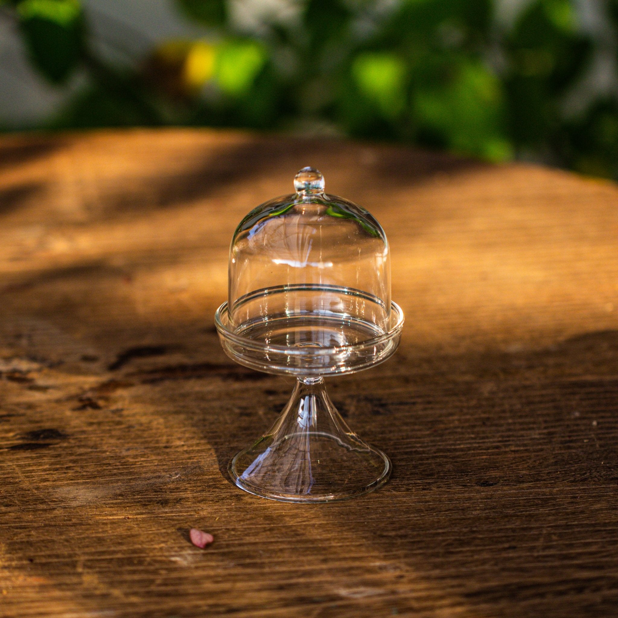 3 units Mini glass serve stand dome cloche set 7x12.8cm - NCYPgarden