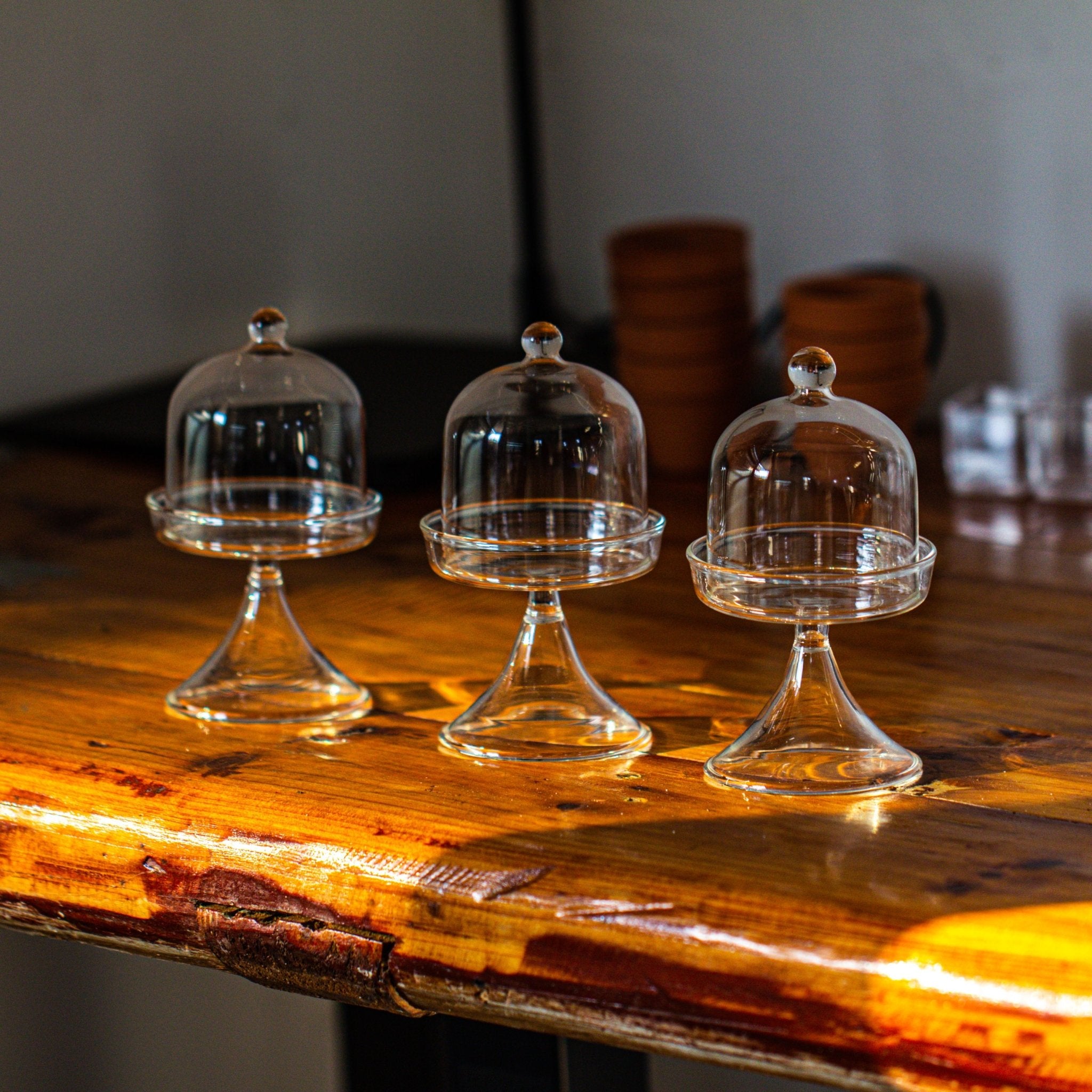 3 units Mini glass serve stand dome cloche set 7x12.8cm - NCYPgarden