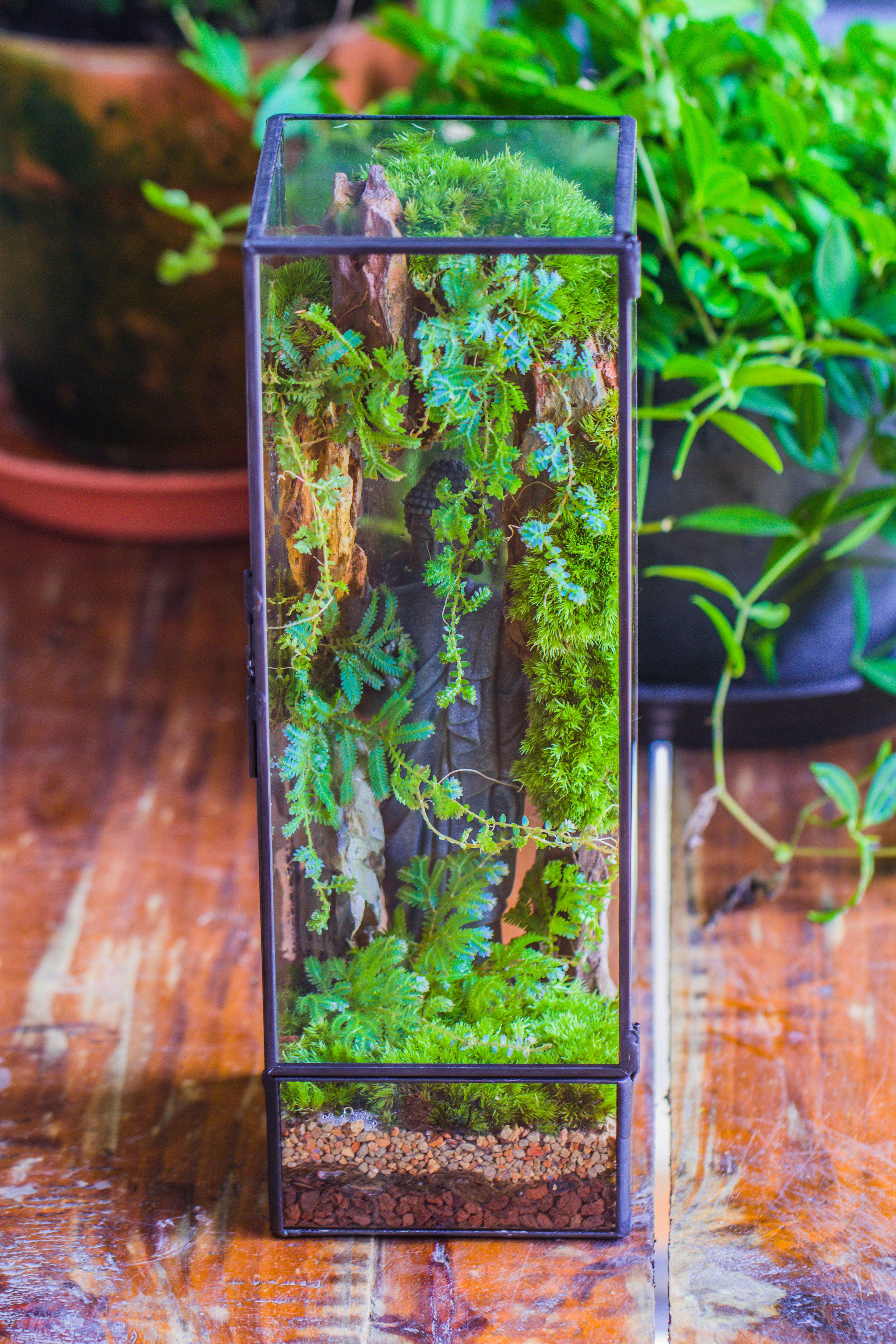 NCYP Close 11.8" Tall Geometric Glass Terrarium with Door DIY set, with Buddha, Dragon rocks, Planting Materials - NCYPgarden